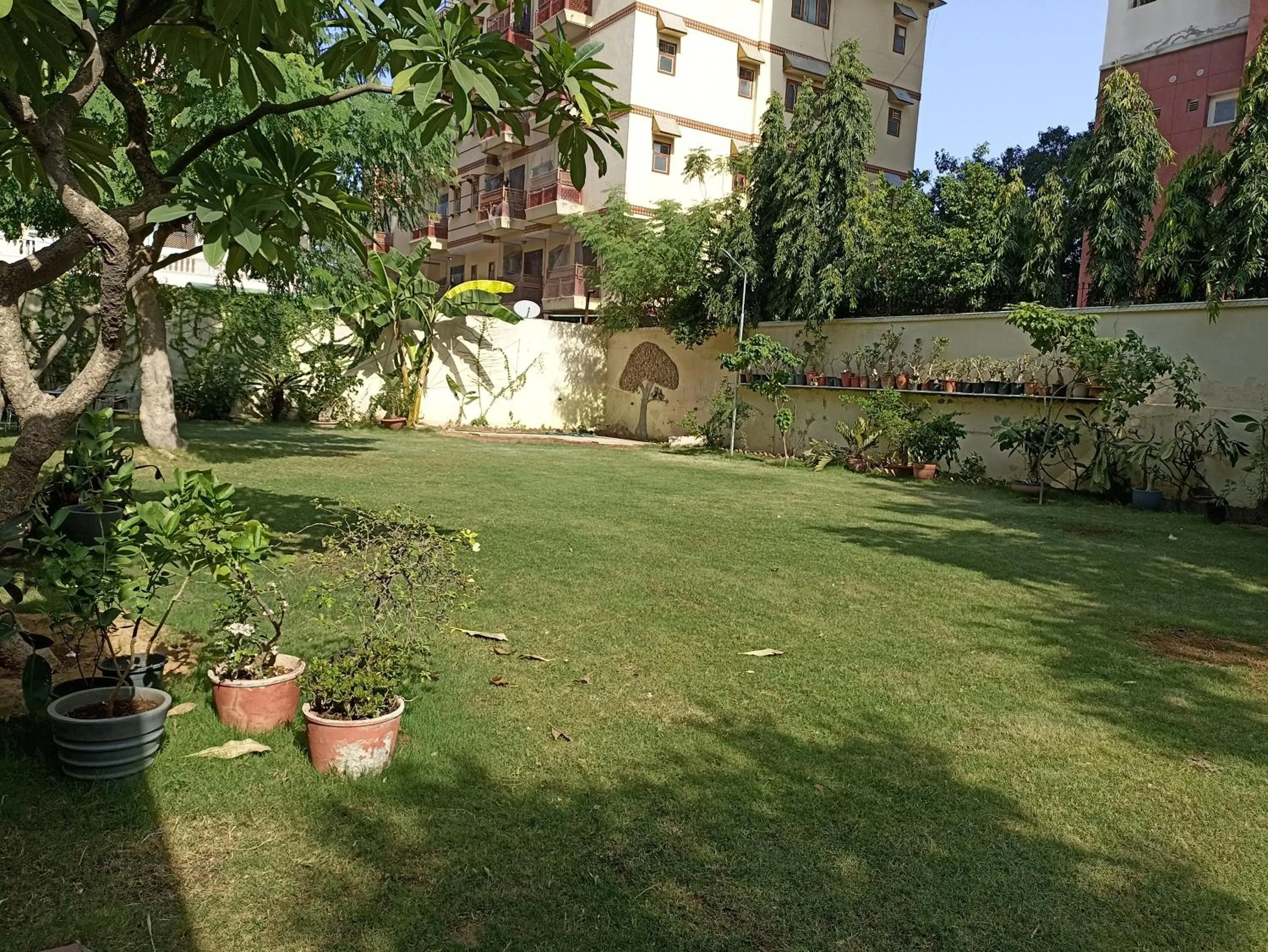 Garden in Hotel Rime Vista