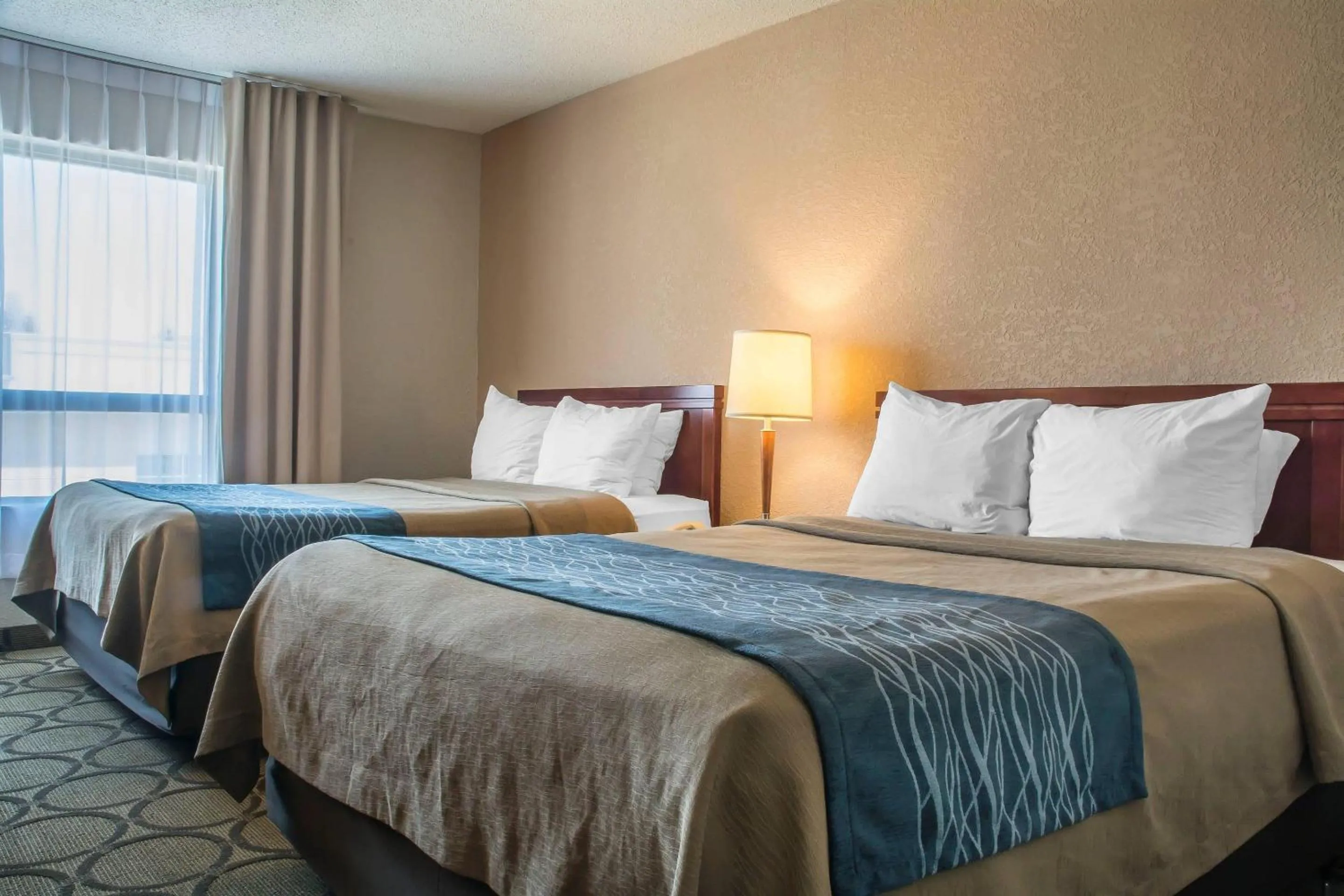 Bedroom, Bed in Comfort Inn