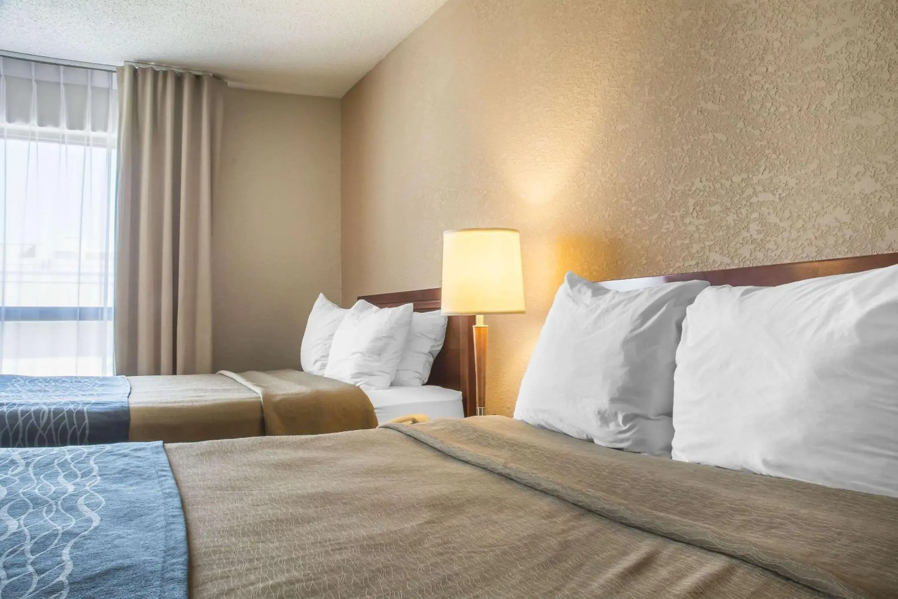 Double Room with Two Double Beds - Non-Smoking in Comfort Inn London - Ontario Double Room with Two Double Beds - Non-Smoking in Comfort Inn London - Ontario