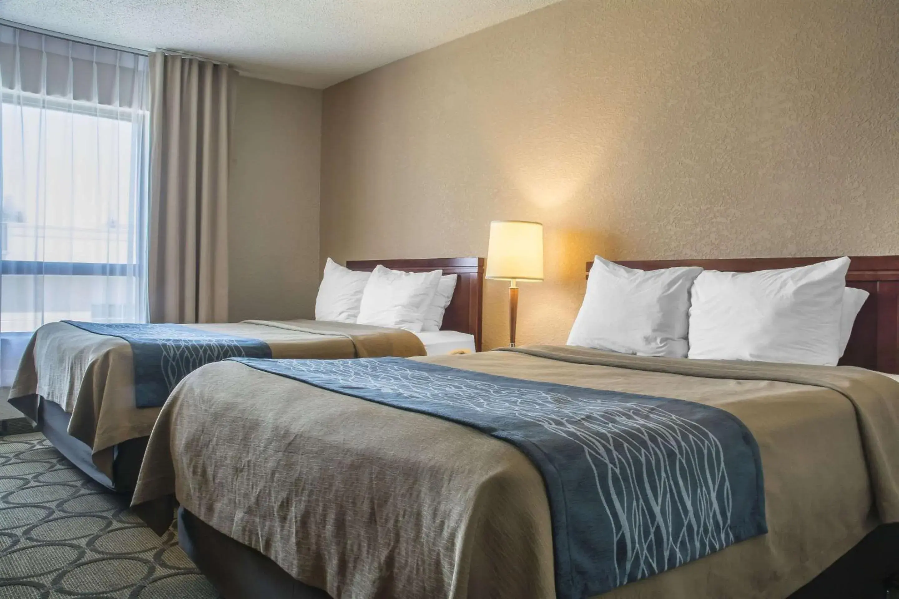 Photo of the whole room in Comfort Inn London - Ontario Photo of the whole room in Comfort Inn London - Ontario