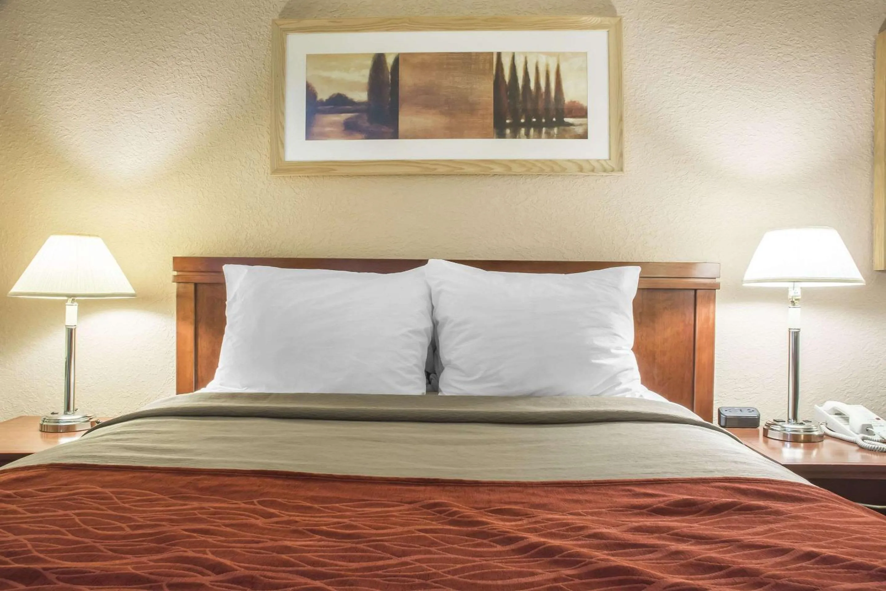 Photo of the whole room in Comfort Inn London - Ontario