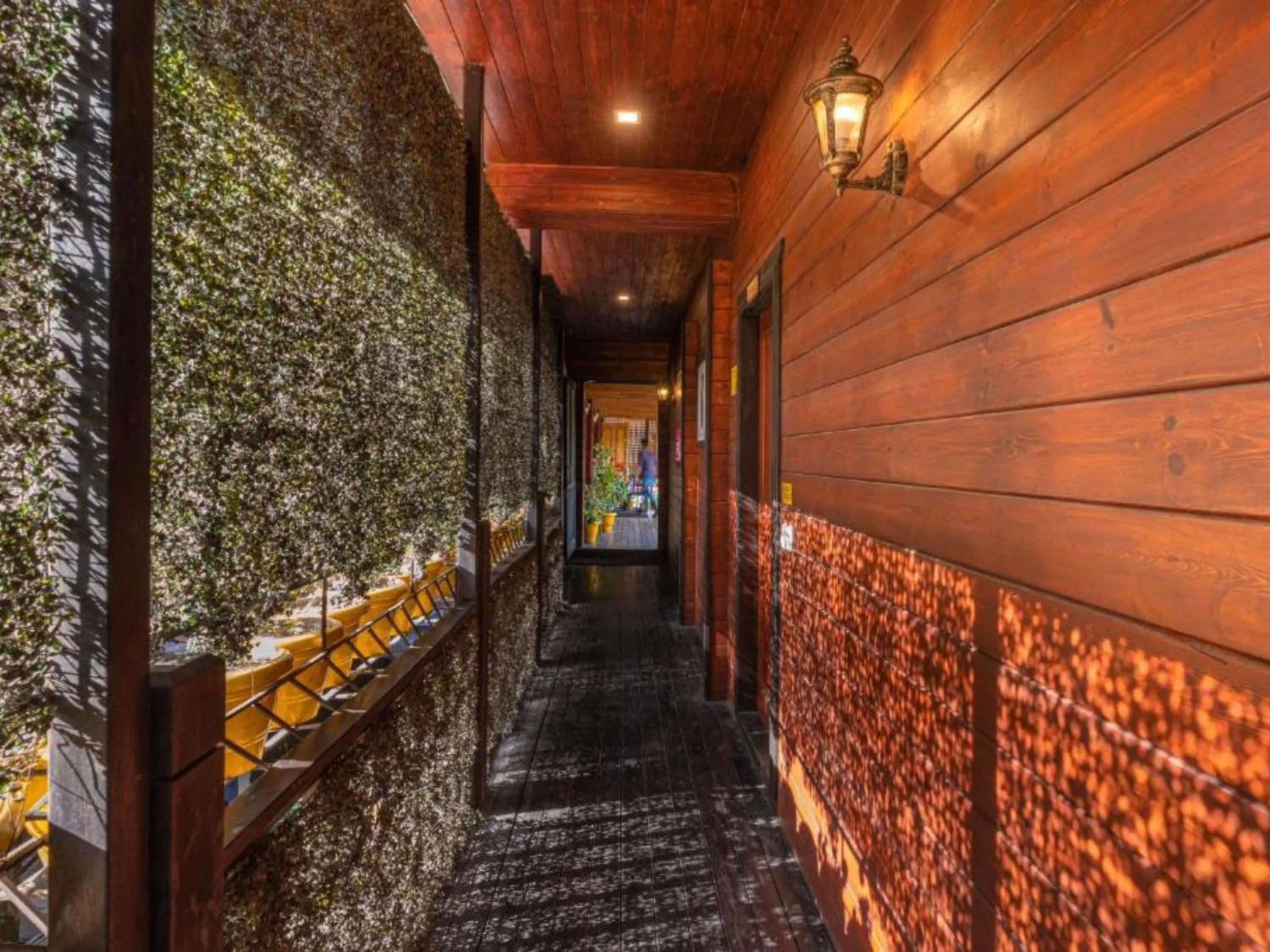 Facade/entrance in The Hosteller Kasar Devi