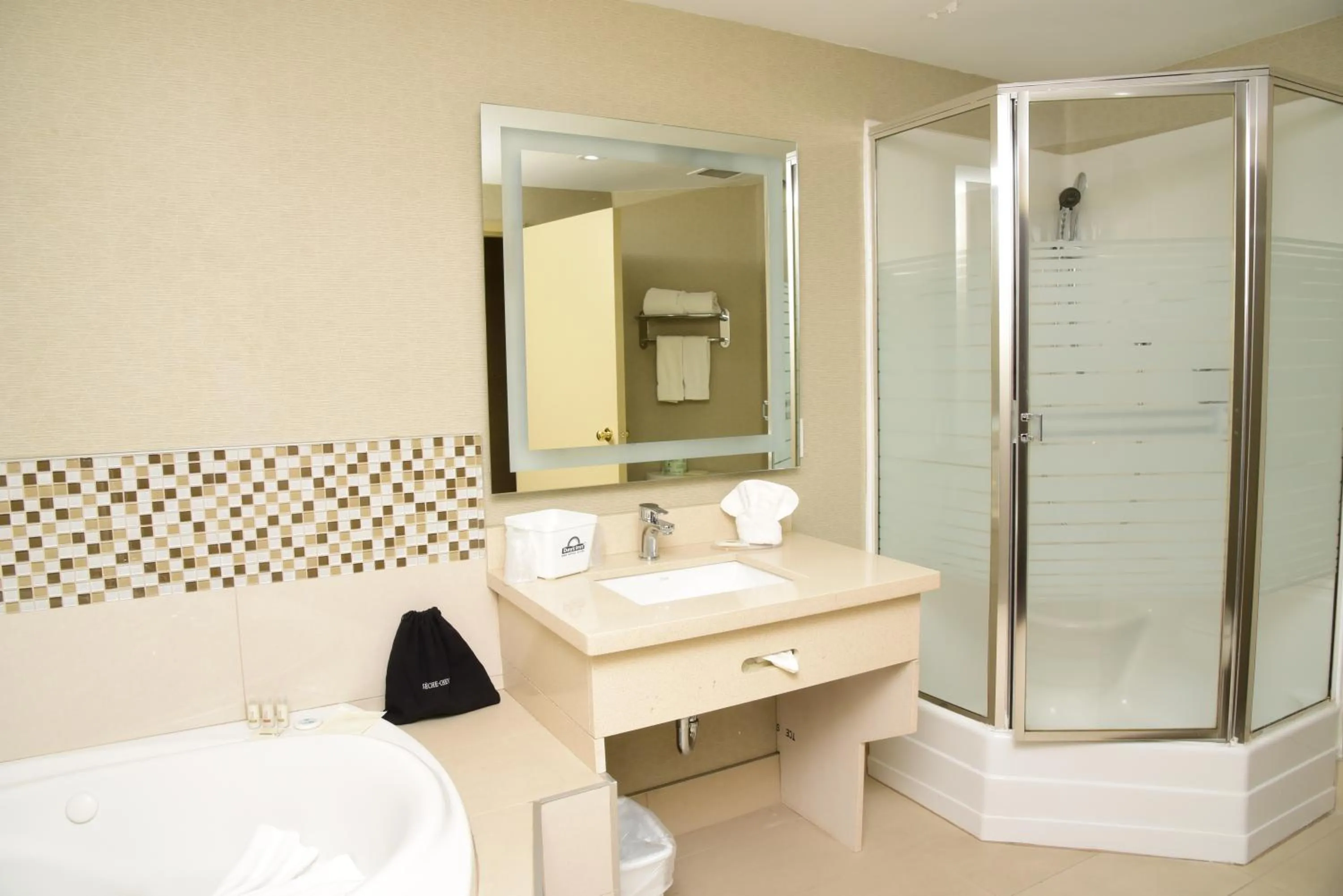 Bathroom in Days Inn by Wyndham Ottawa