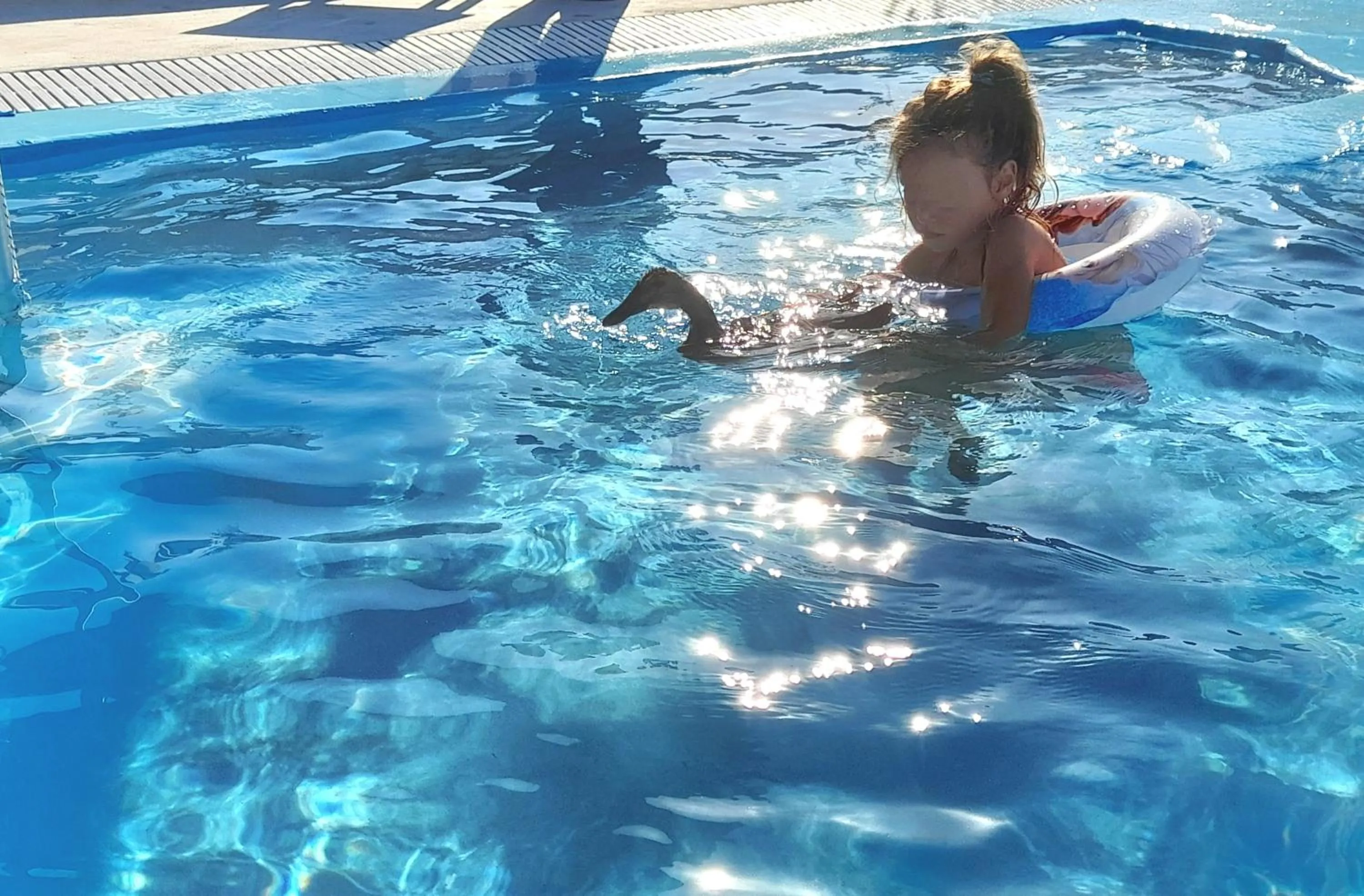 Sea paradise villas - Seaside & private jacuzzi