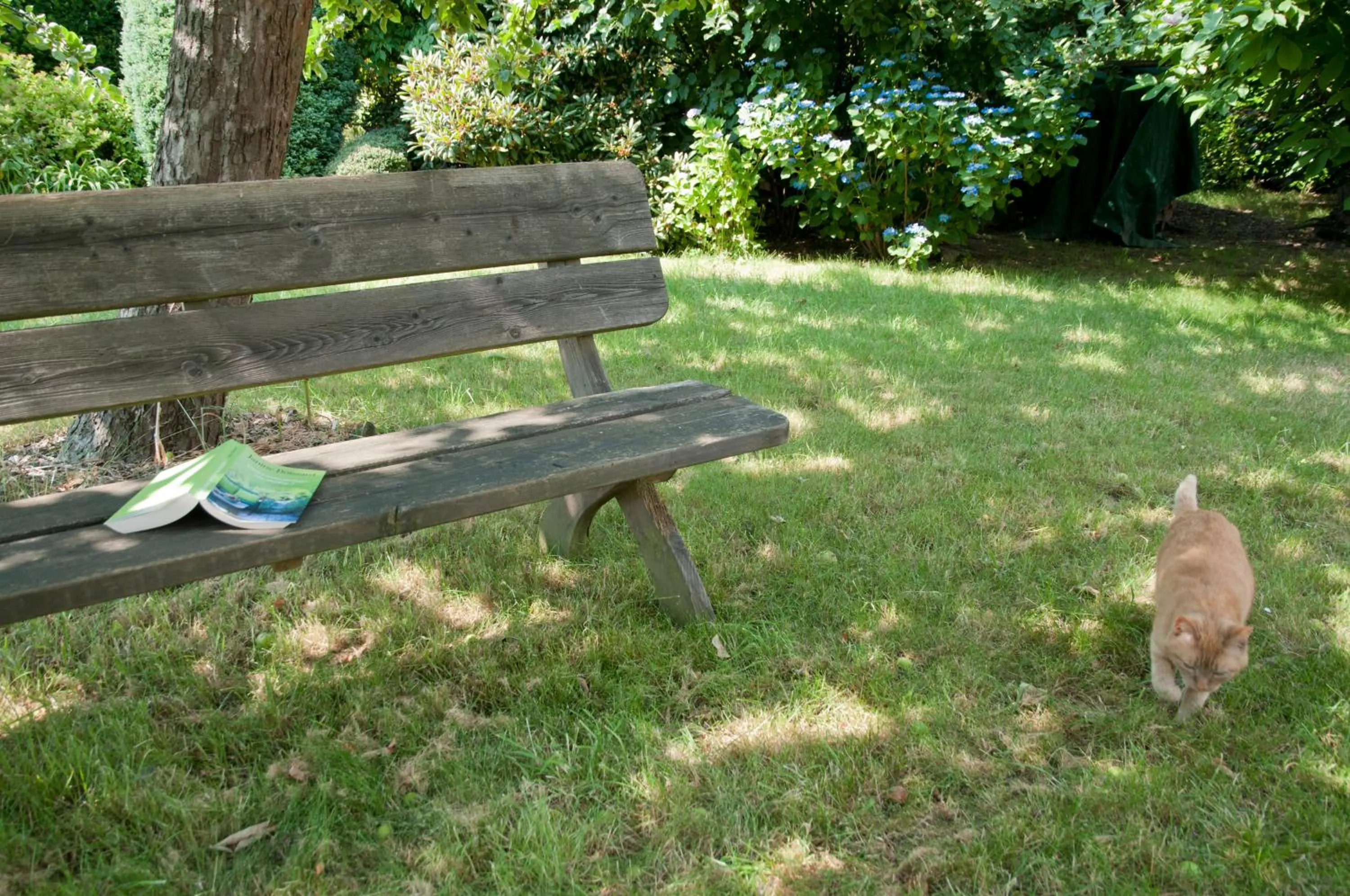 Garden in Wellintown Guest House