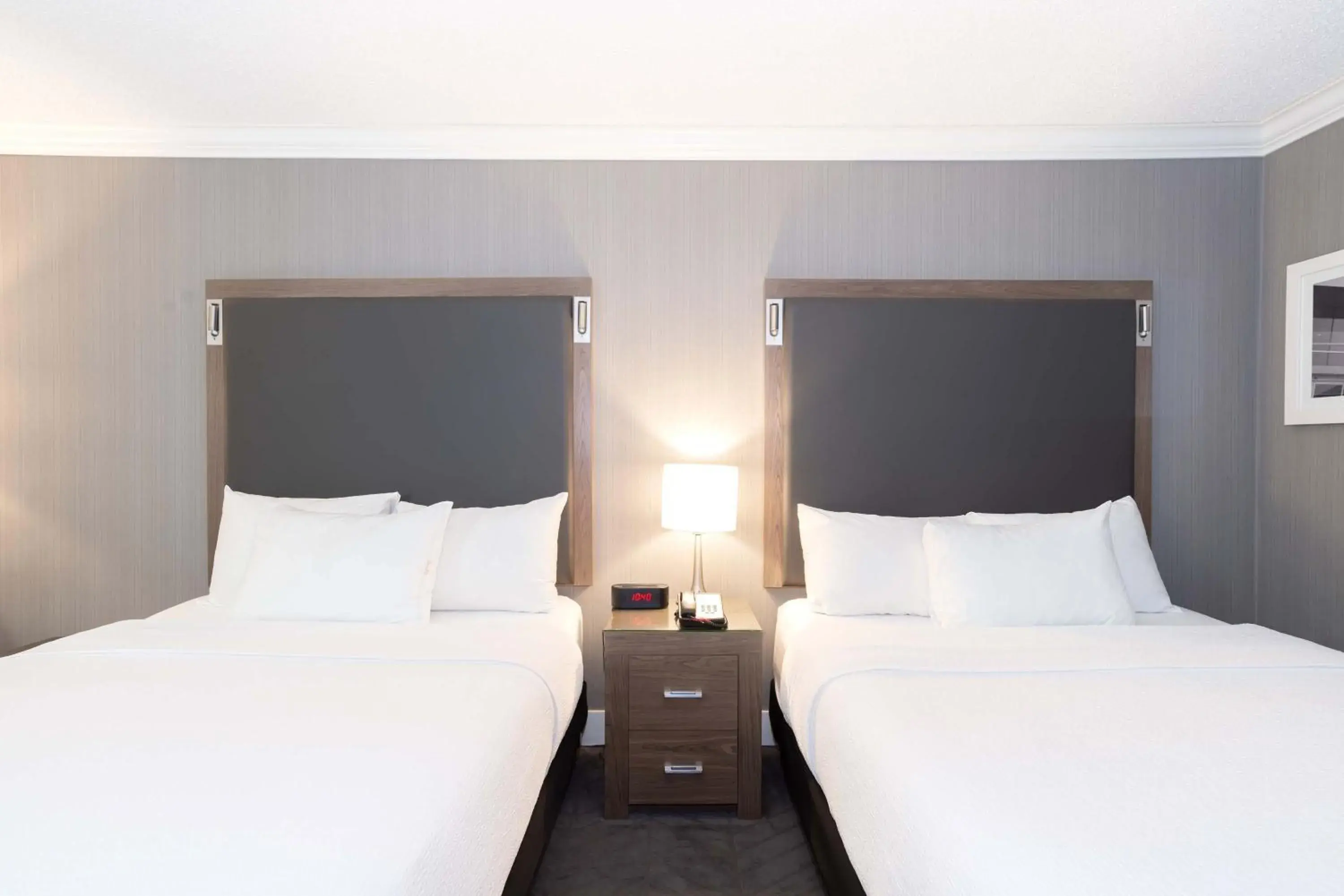 Photo of the whole room, Bed in Sandman Signature Lethbridge Lodge Photo of the whole room, Bed in Sandman Signature Lethbridge Lodge