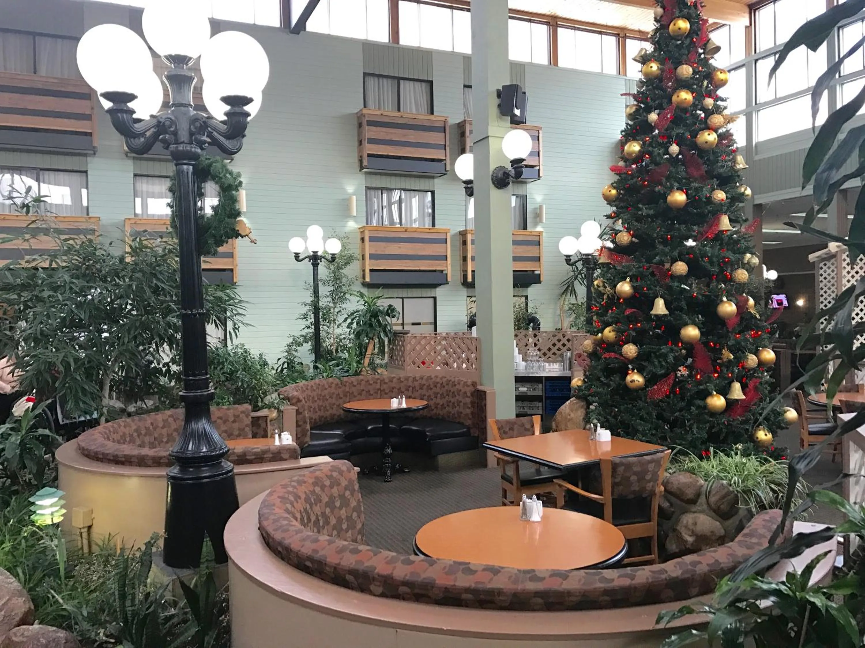 Restaurant/places to eat in Baymont by Wyndham Red Deer