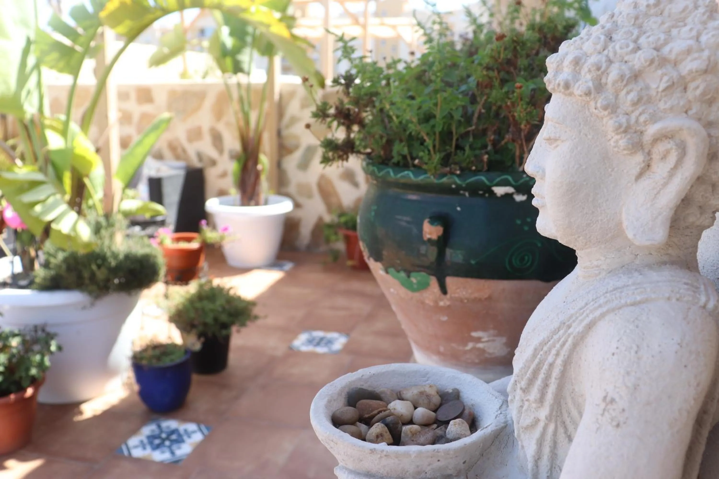 Garden view in Hotel CALPE