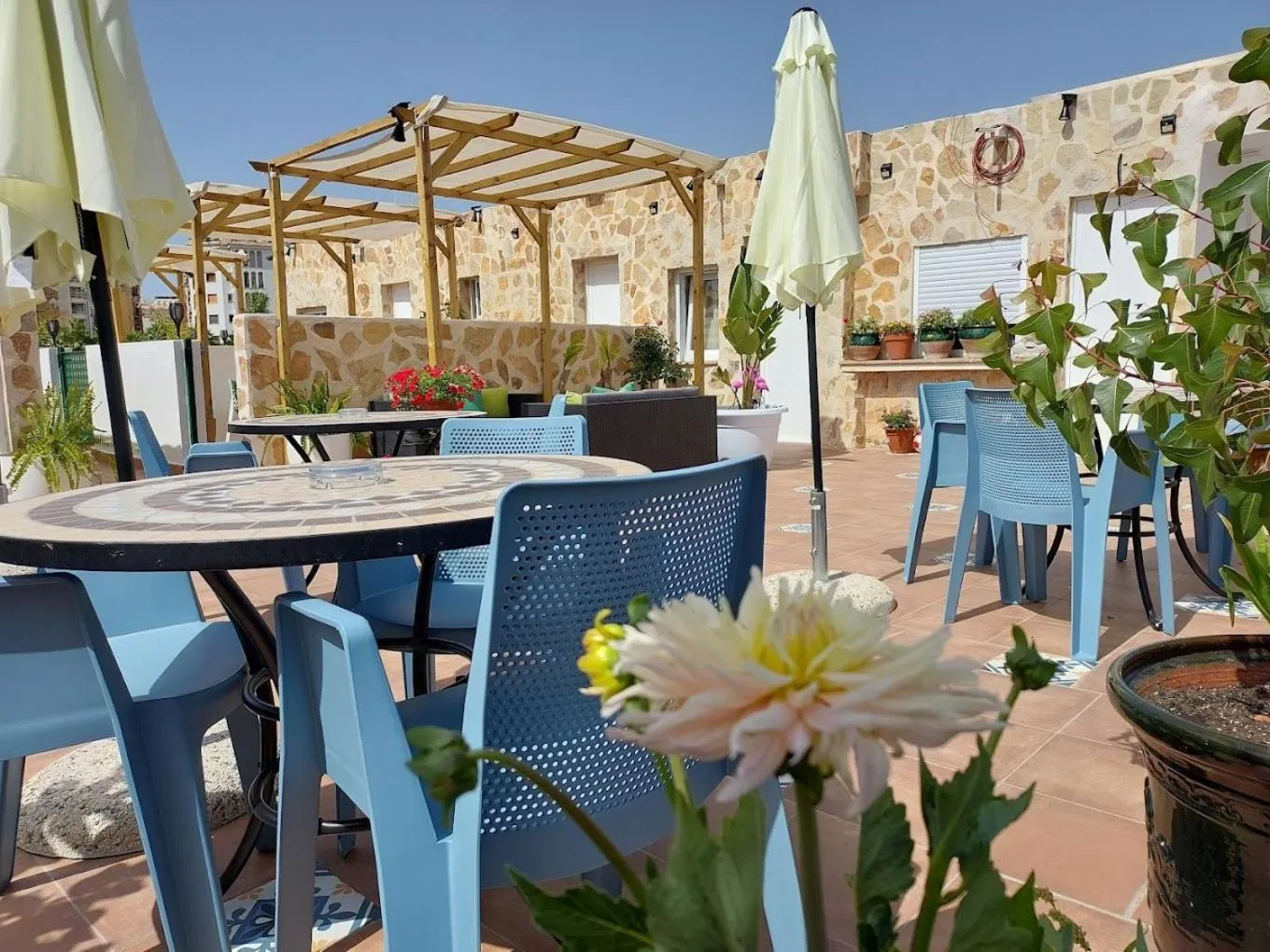 Patio in Hotel CALPE