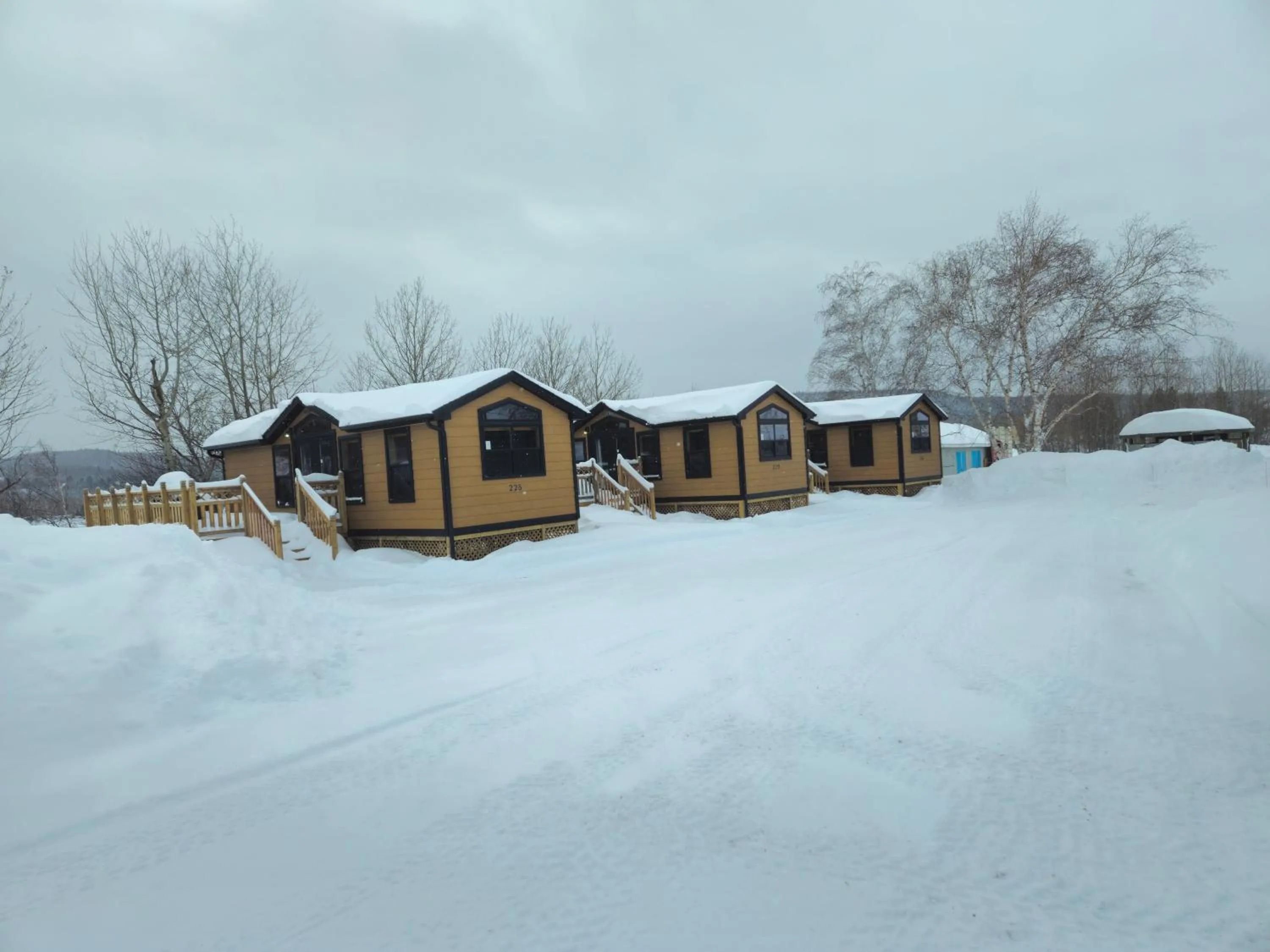 Property building in Parc Octopus