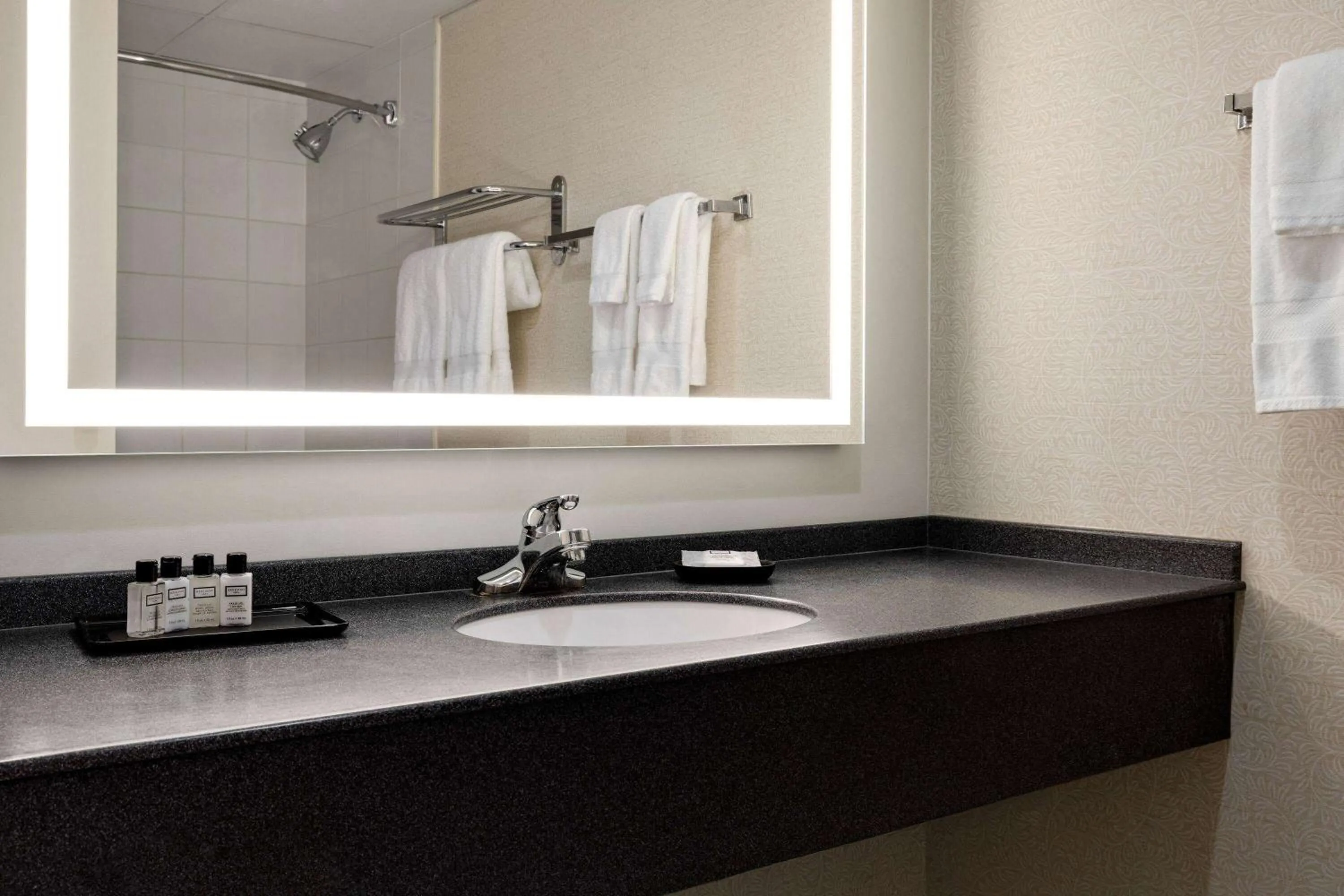 Bathroom in Wyndham Edmonton Hotel and Conference Centre