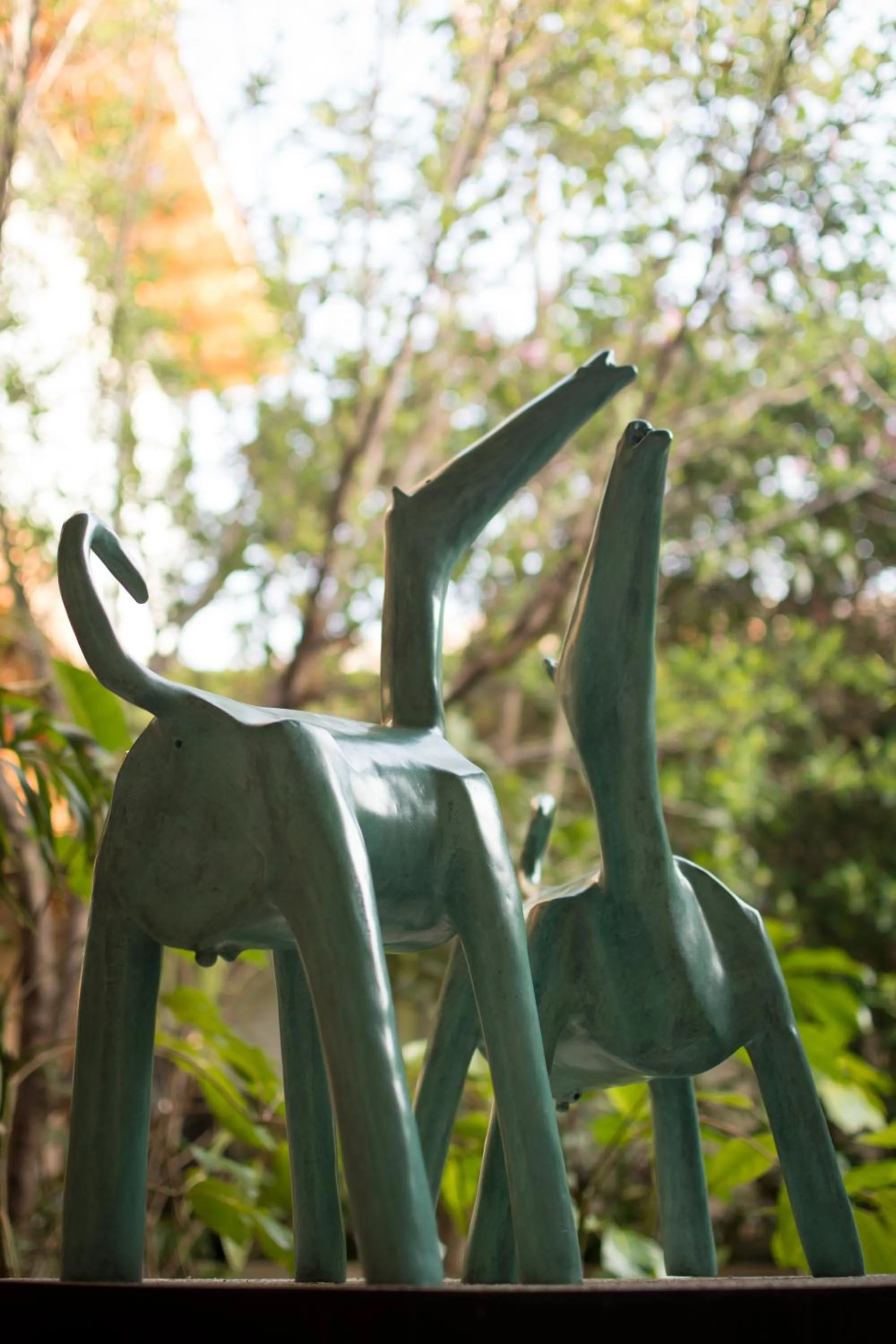 Inner courtyard view in Taller de Juan - Casa Hotel