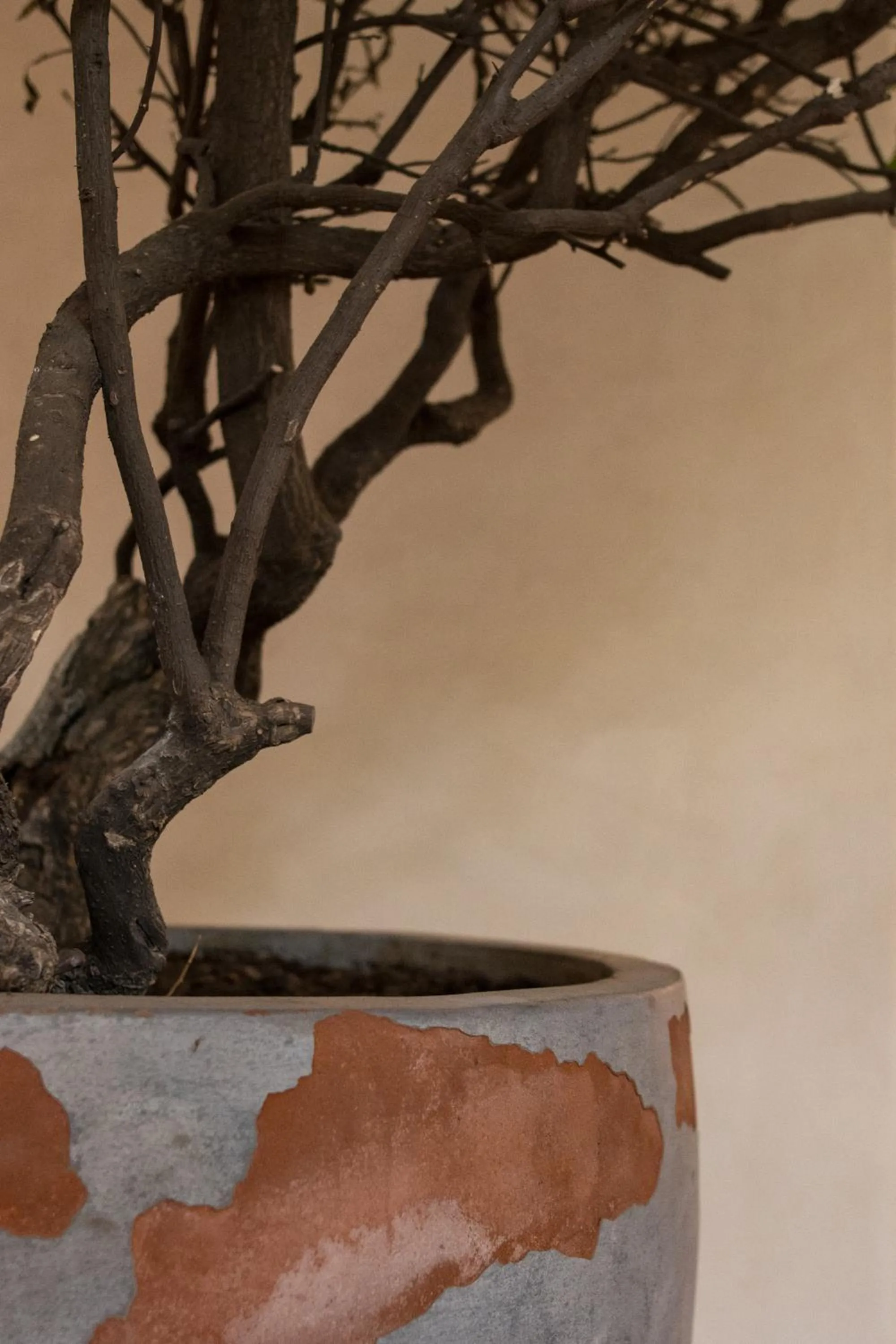 Other in Taller de Juan - Casa Hotel