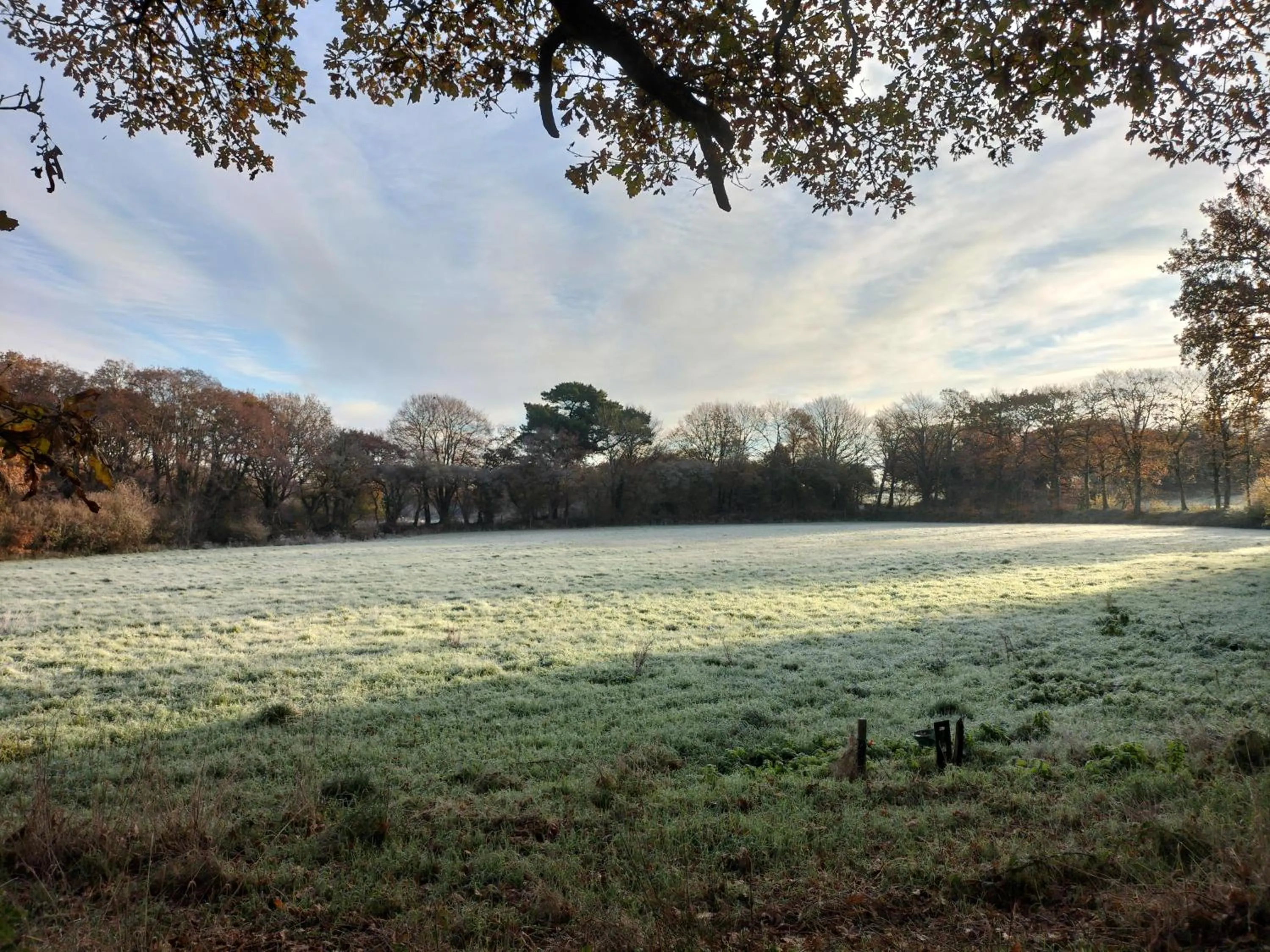 Natural landscape in Le relais de Roscarven