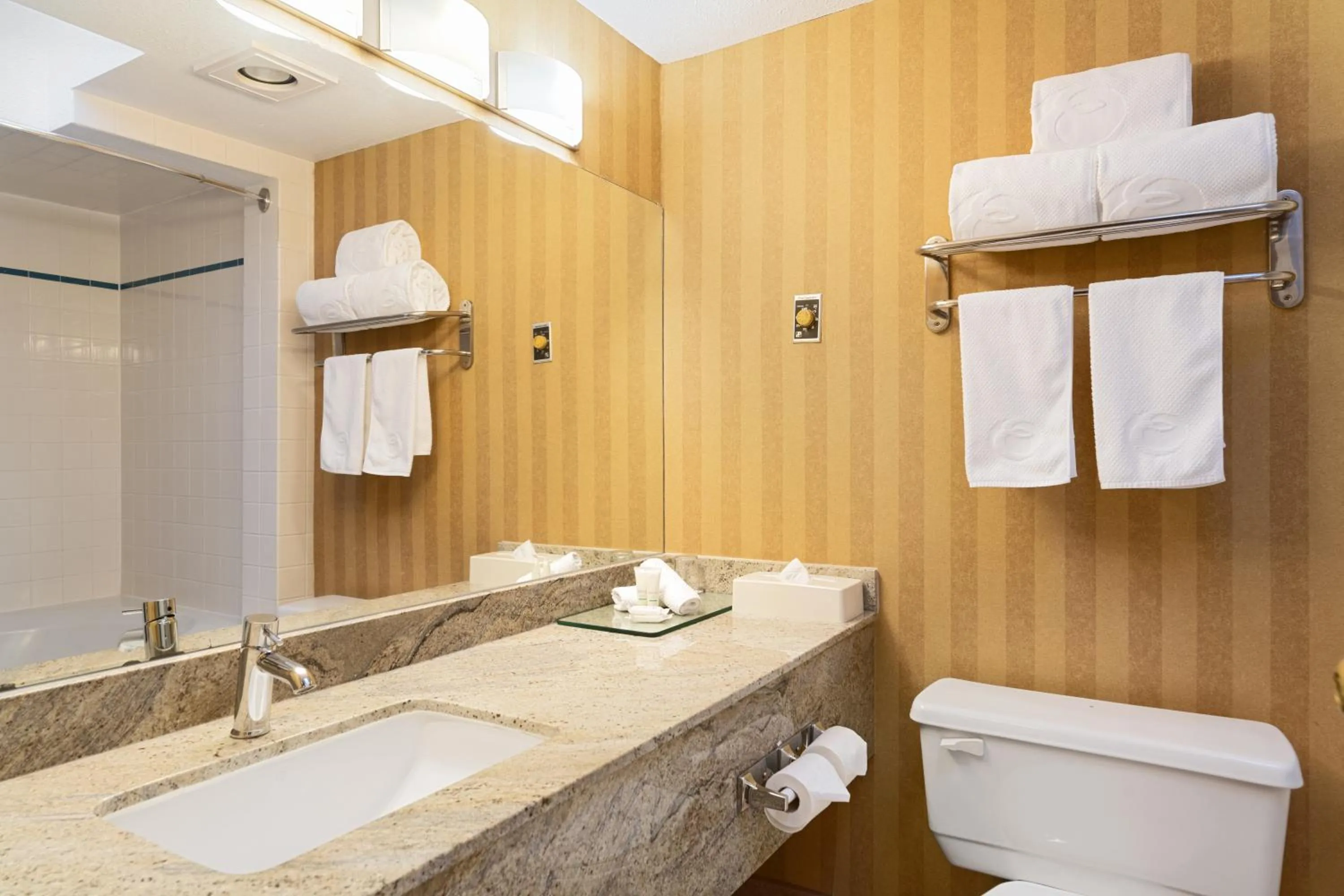 Executive Hotel Vancouver Airport