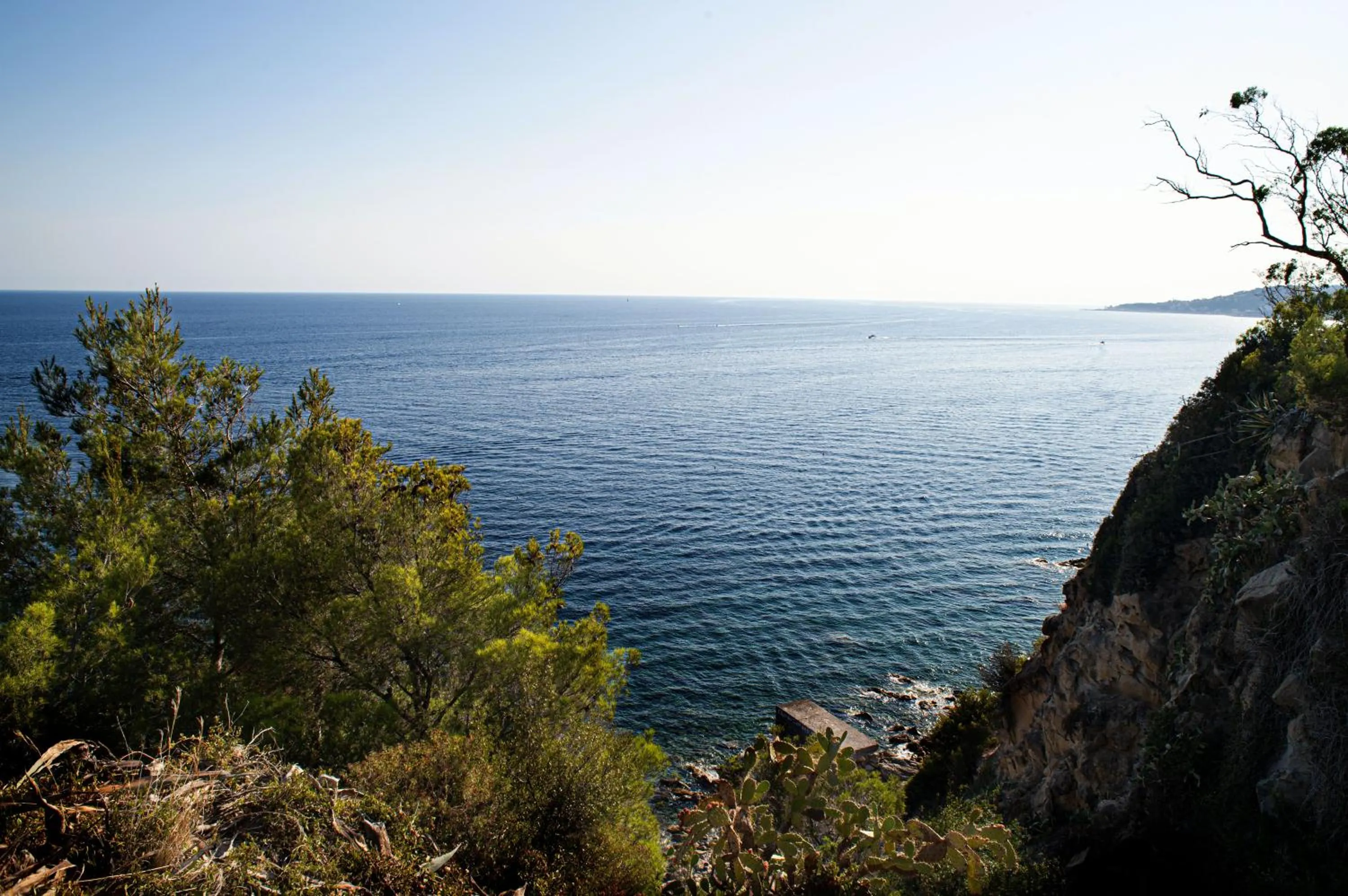 Other in Italianway - Marconi 442