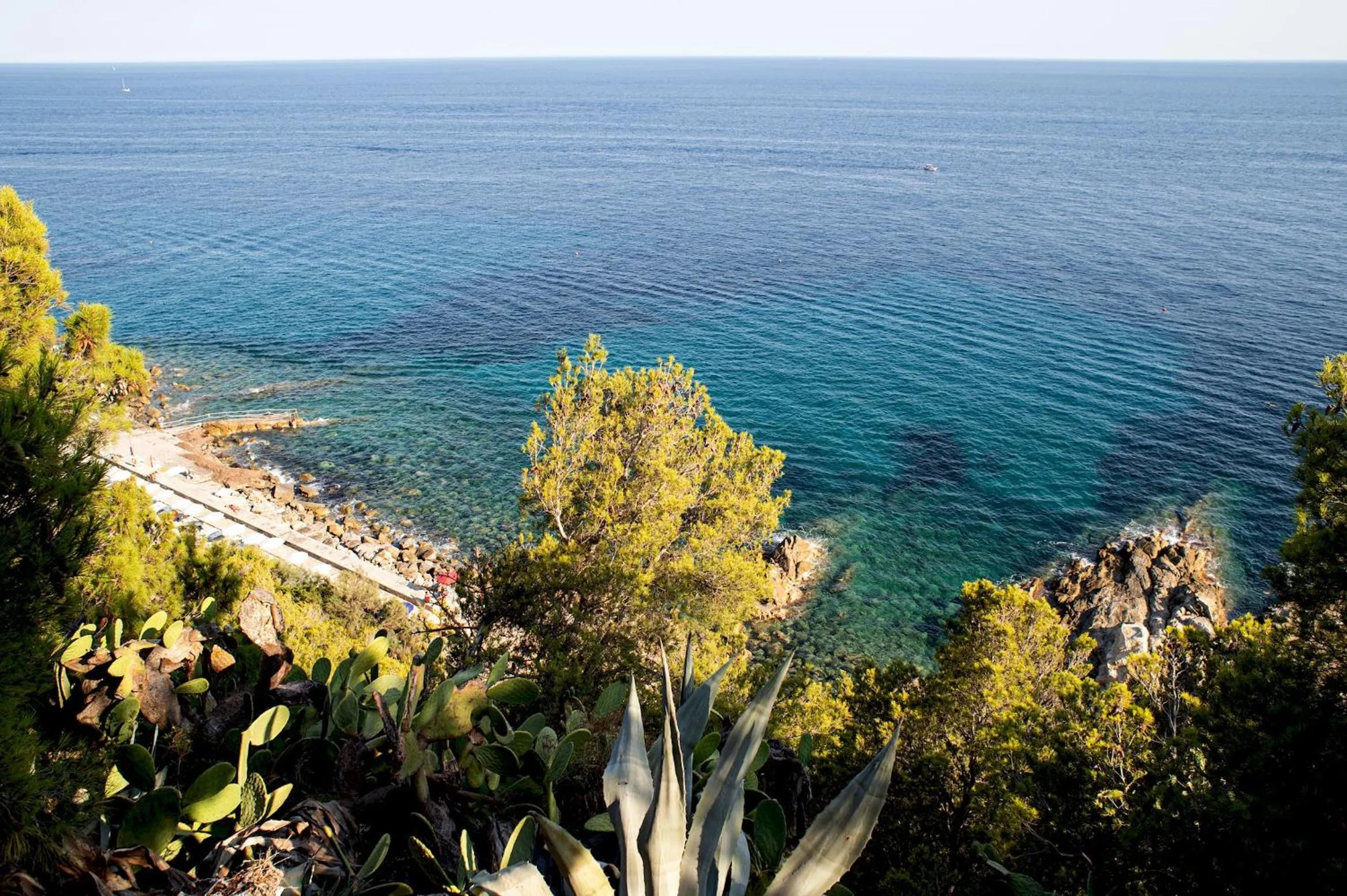 Other in Marconi 442