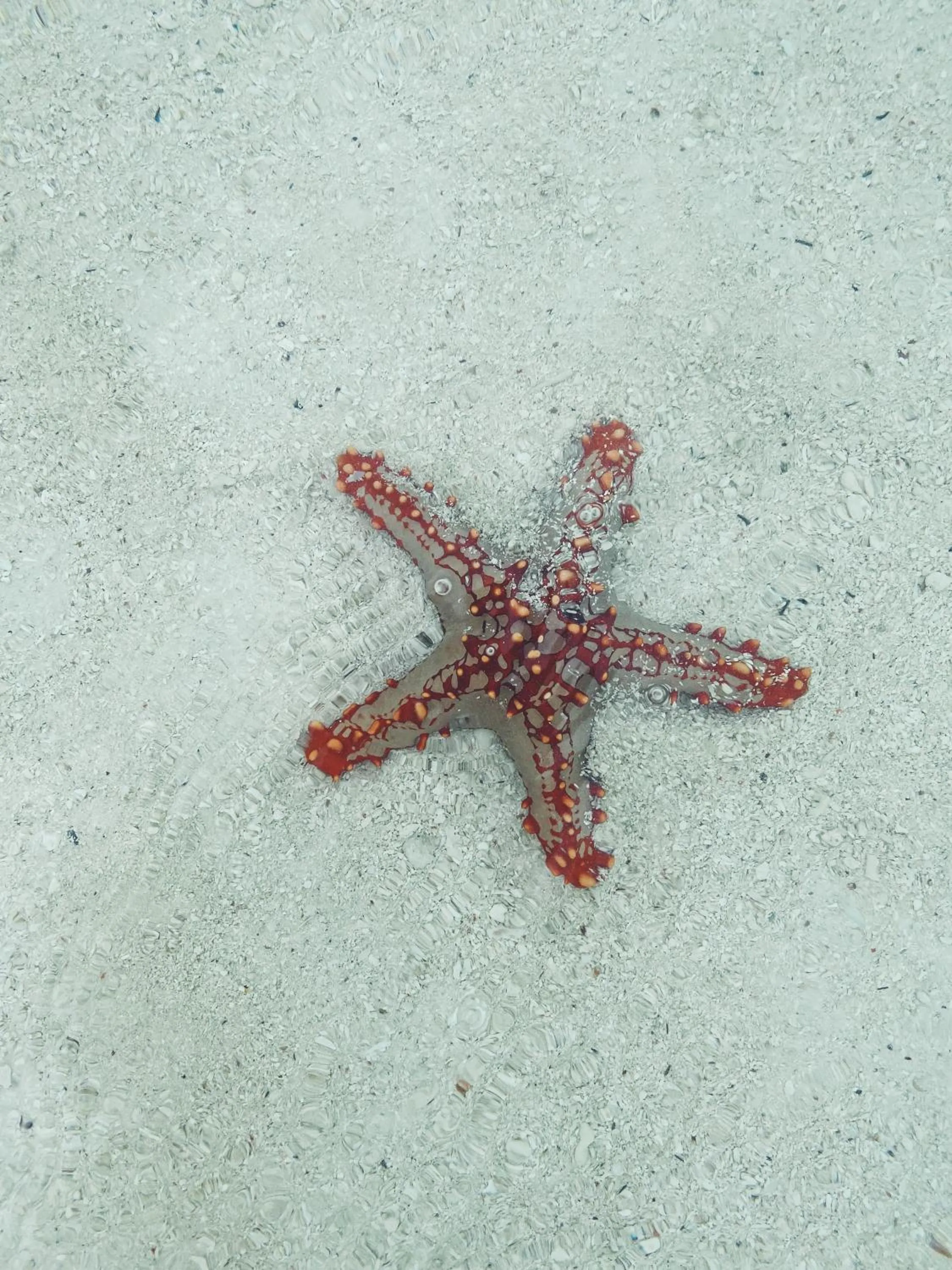 Crystal Beach Nungwi