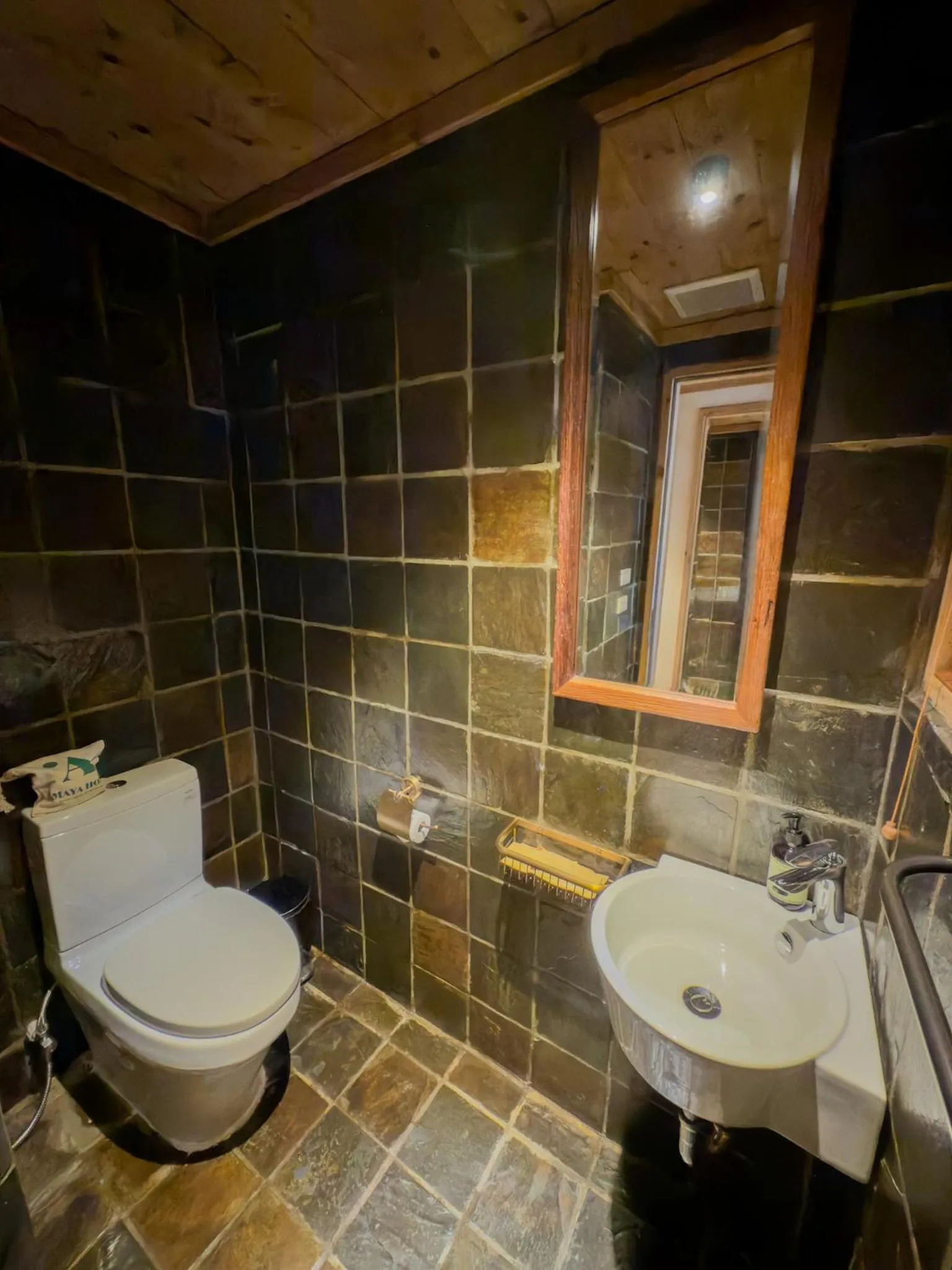 Shower in AMAYA HOME - Lodge, Spa & Restaurant