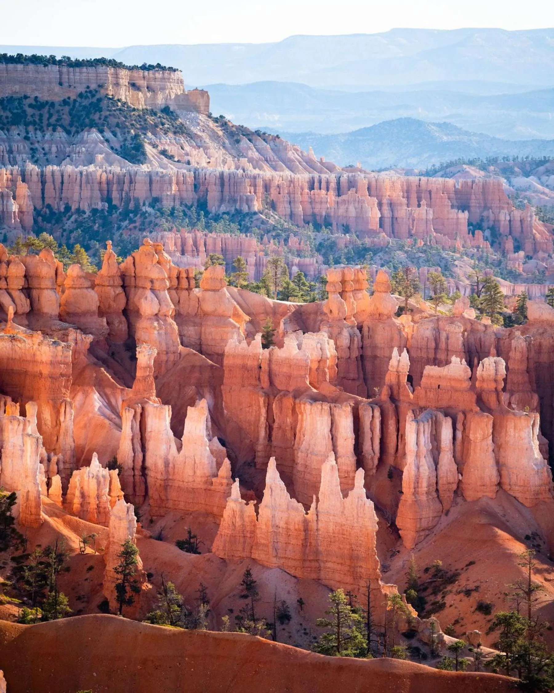 Natural landscape in Under Canvas Bryce Canyon