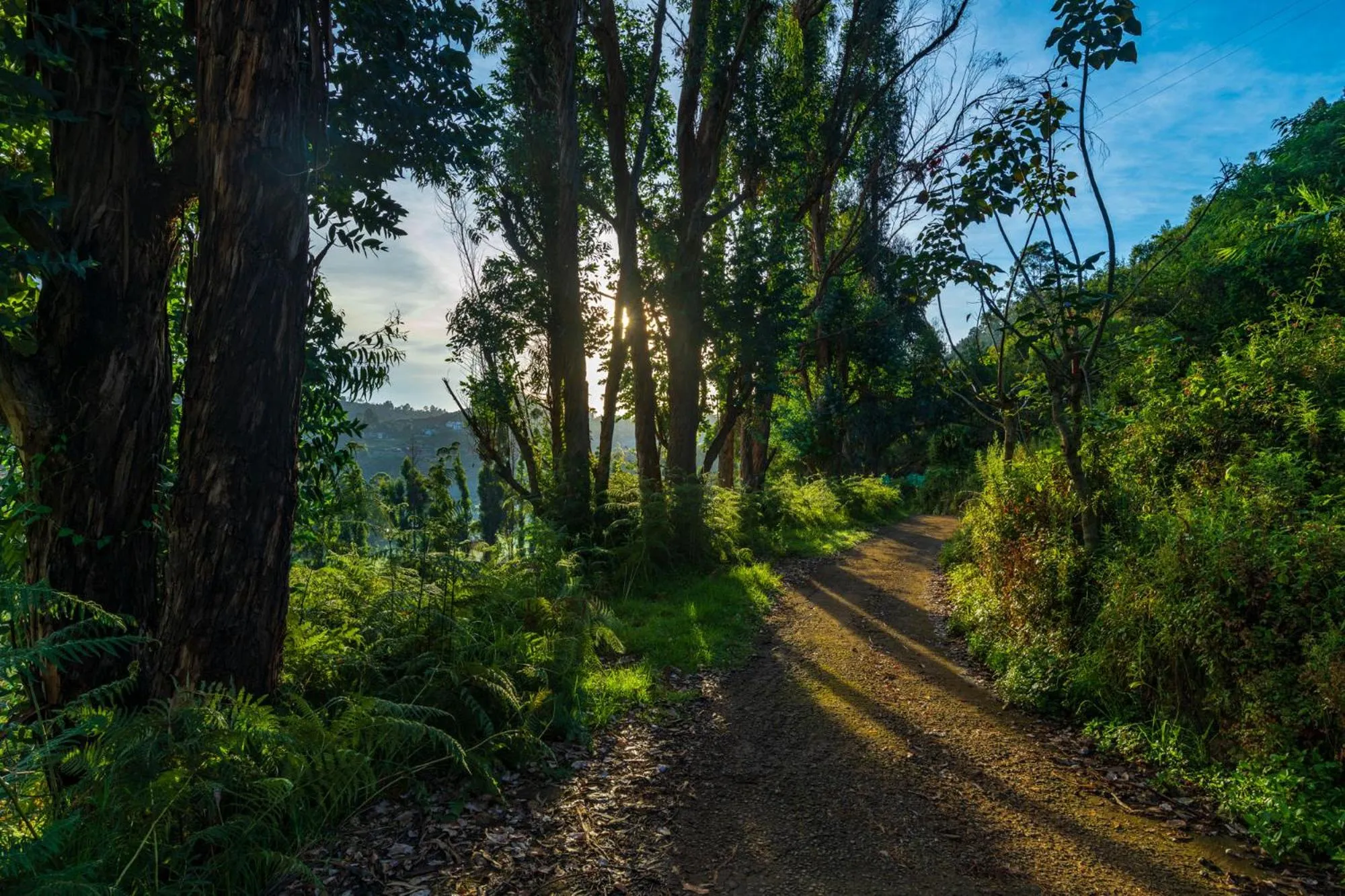 Natural landscape in Warmth Hill Crest