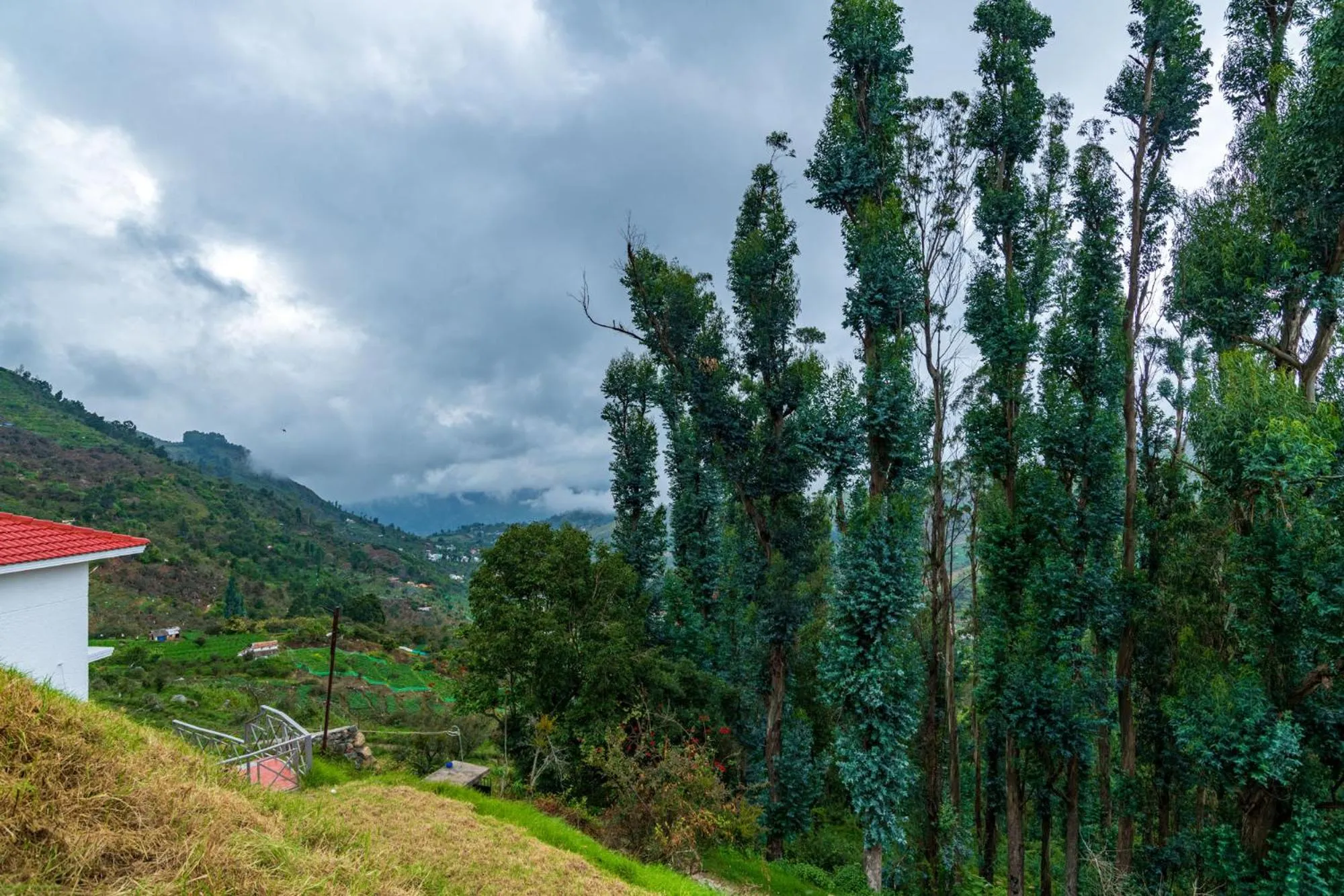 Natural landscape in Warmth Hill Crest