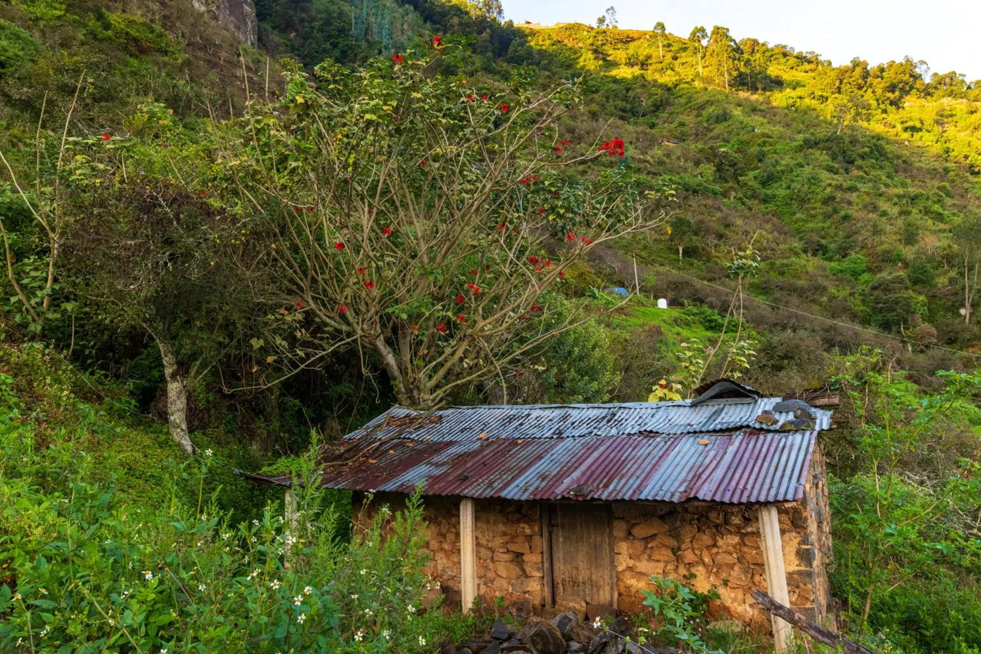 Natural landscape in Warmth Hill Crest