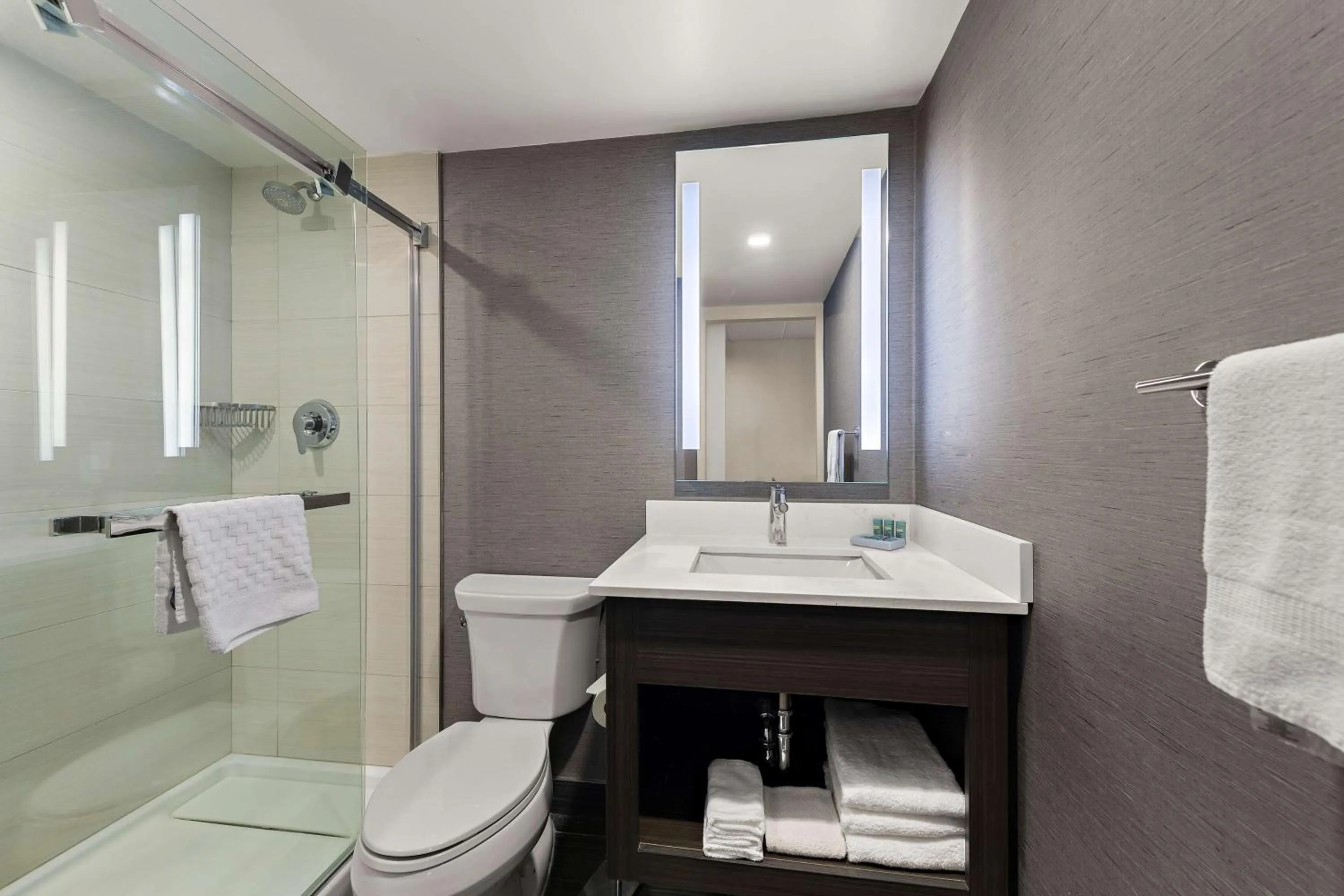 Bathroom in Best Western Parkway Hotel Toronto North