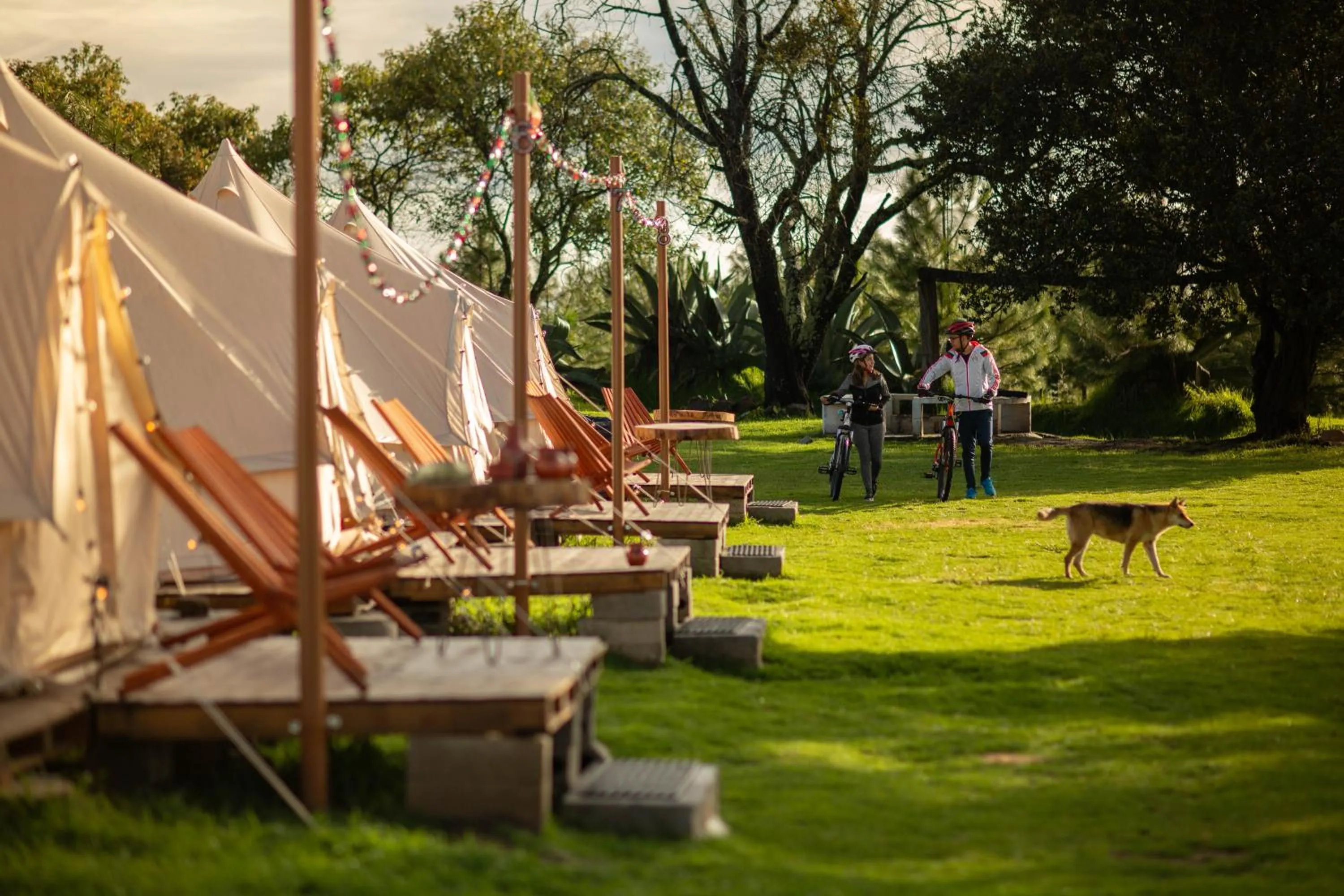 Glamping Octli - Santuario de las Luciernagas X NANTLI LIVING