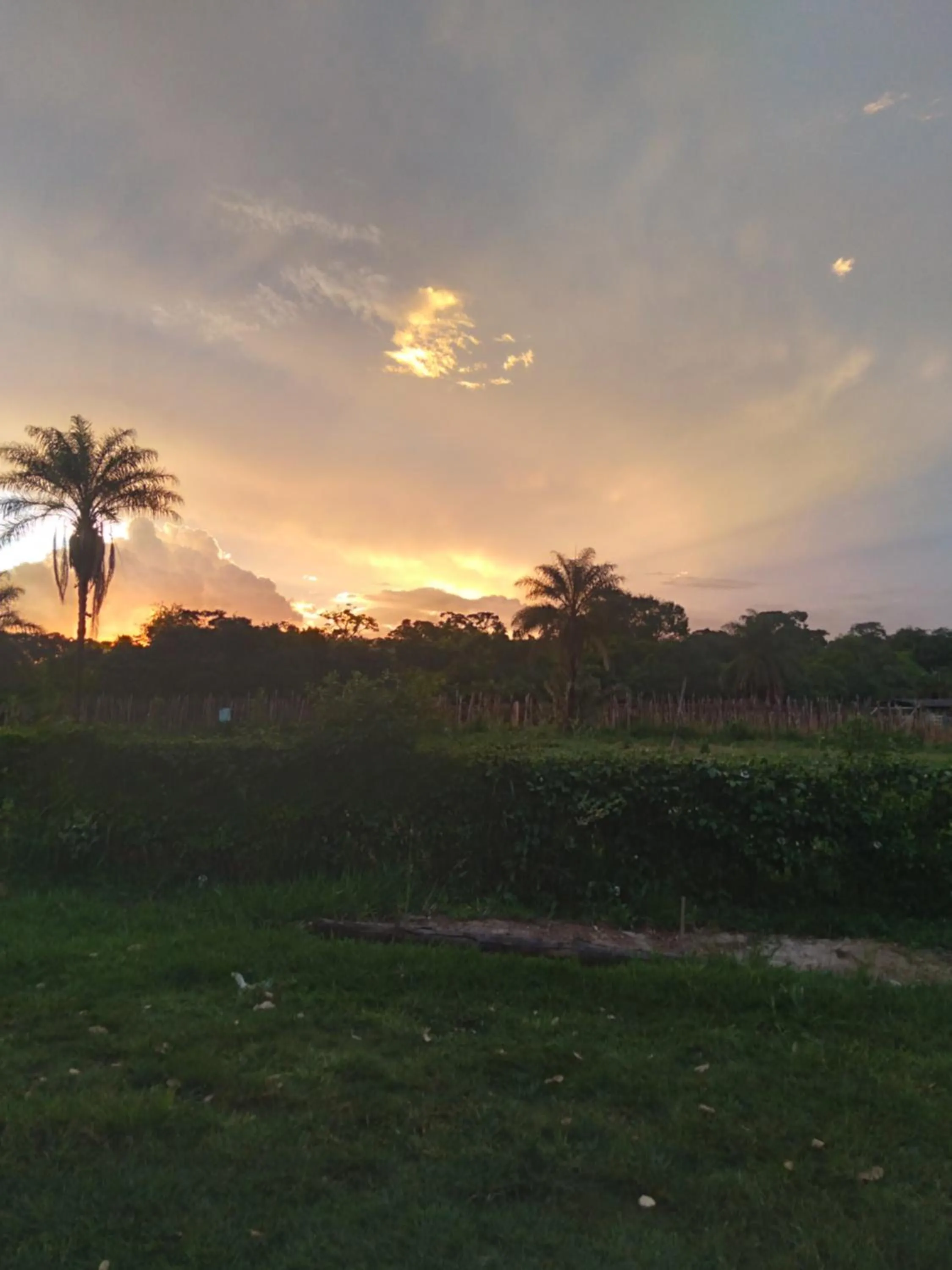 Natural landscape in Chalé Águas Claras