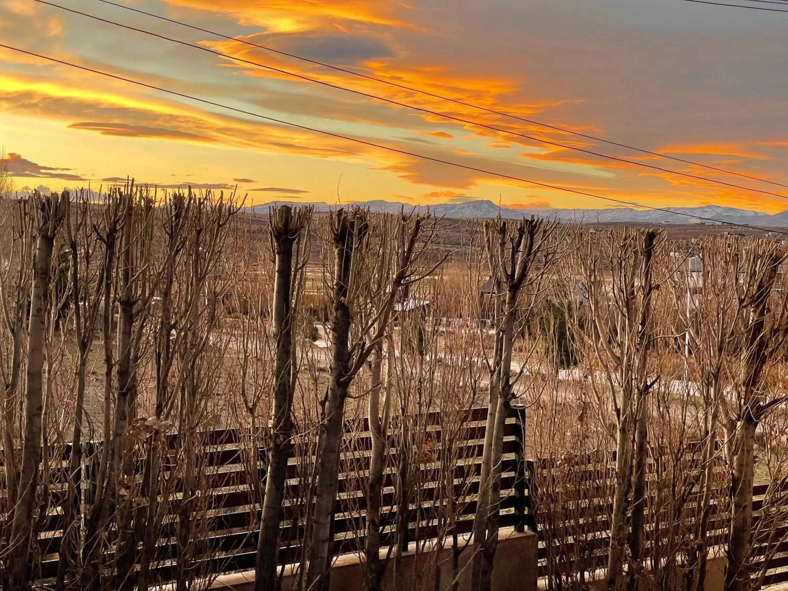 Property building in South Apartments Property building in South Apartments