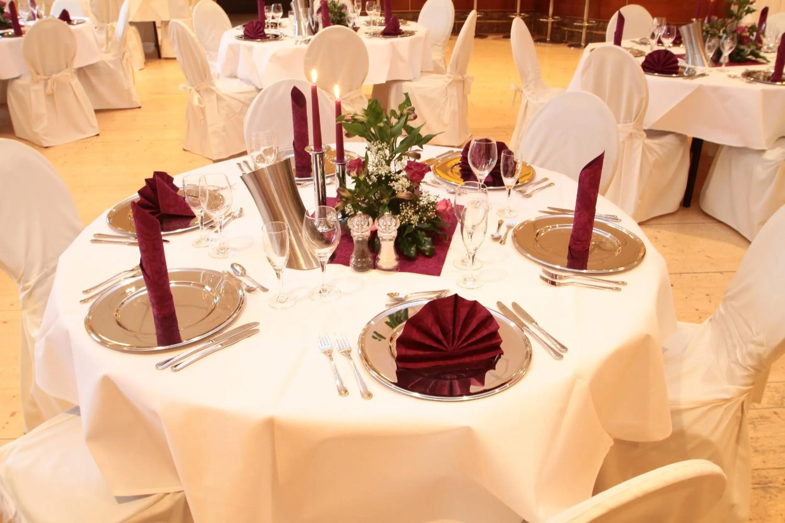 Banquet/Function facilities in Hotel Busch-Atter