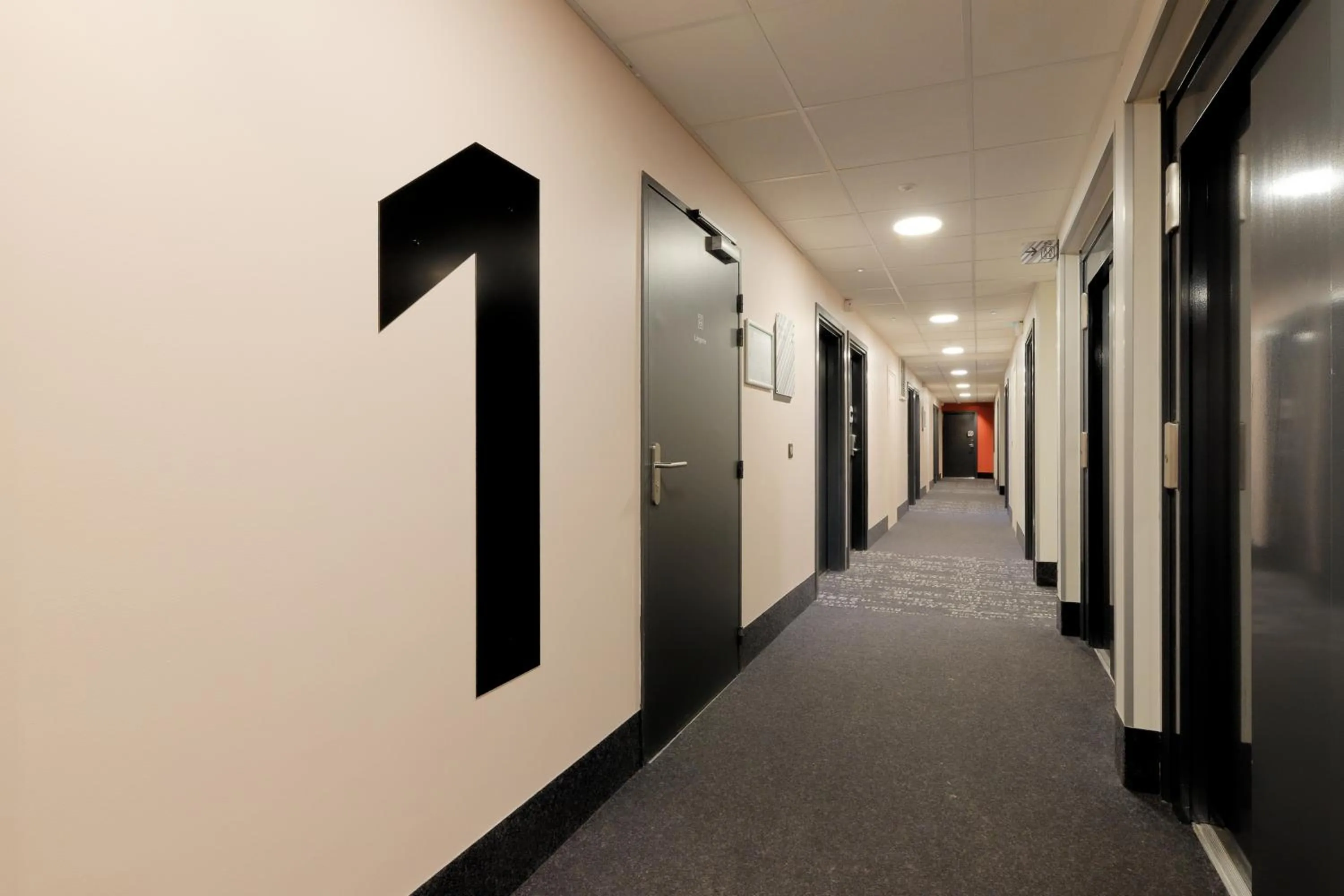 Decorative detail in B&B HOTEL Le Touquet