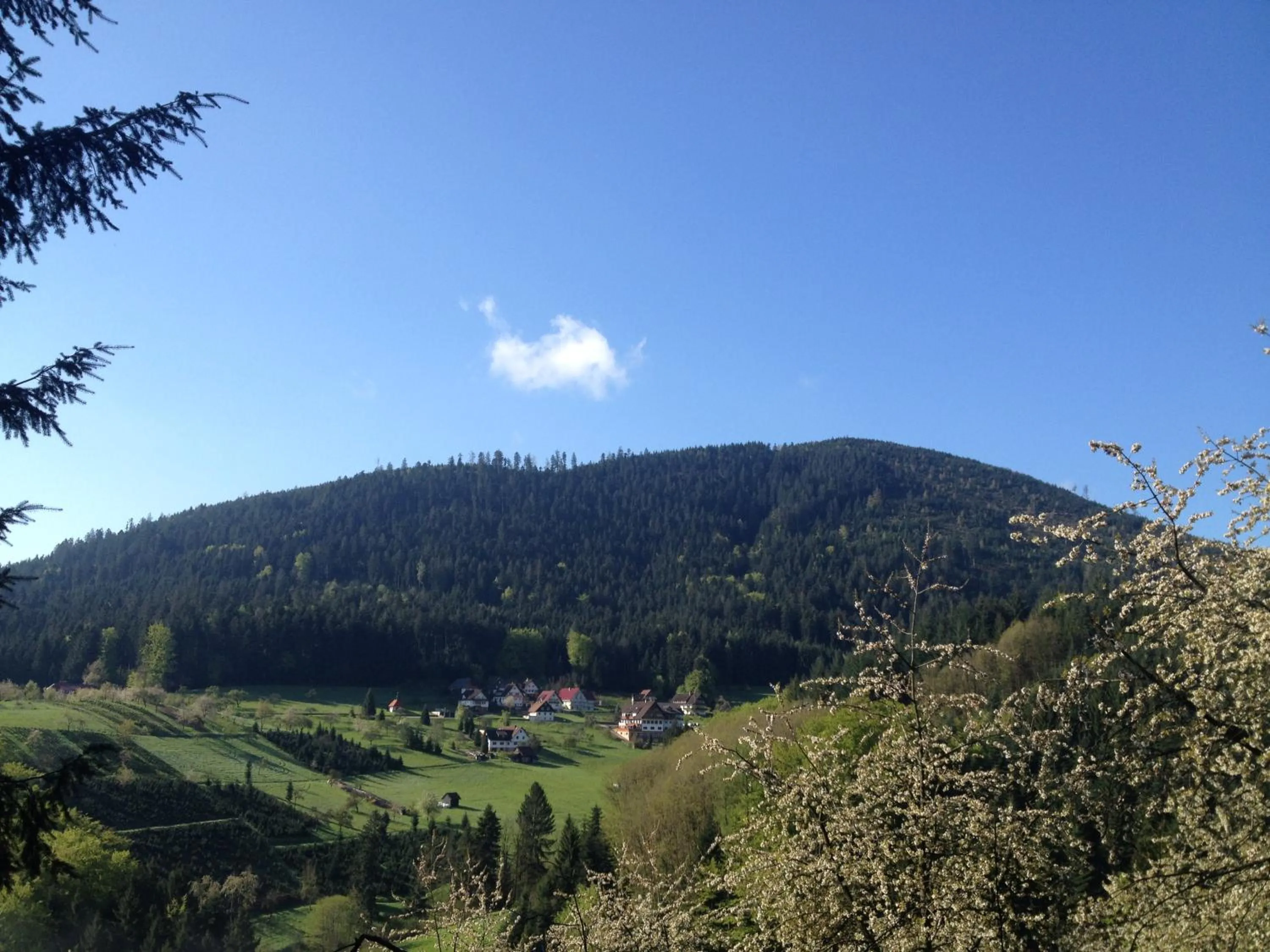 Natural landscape in Höhenhotel & Restaurant Kalikutt