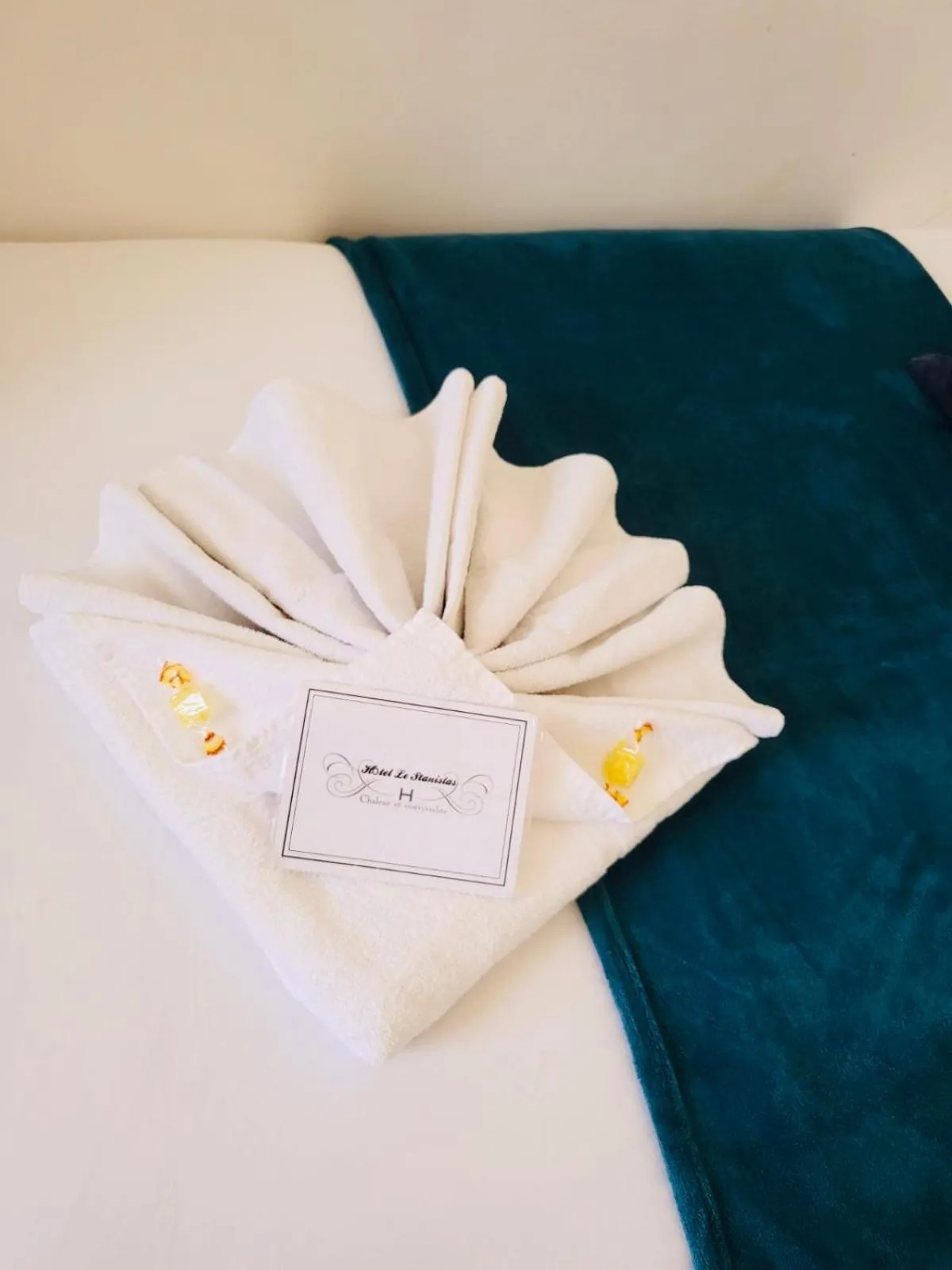 Bed in Hôtel Le Stanislas