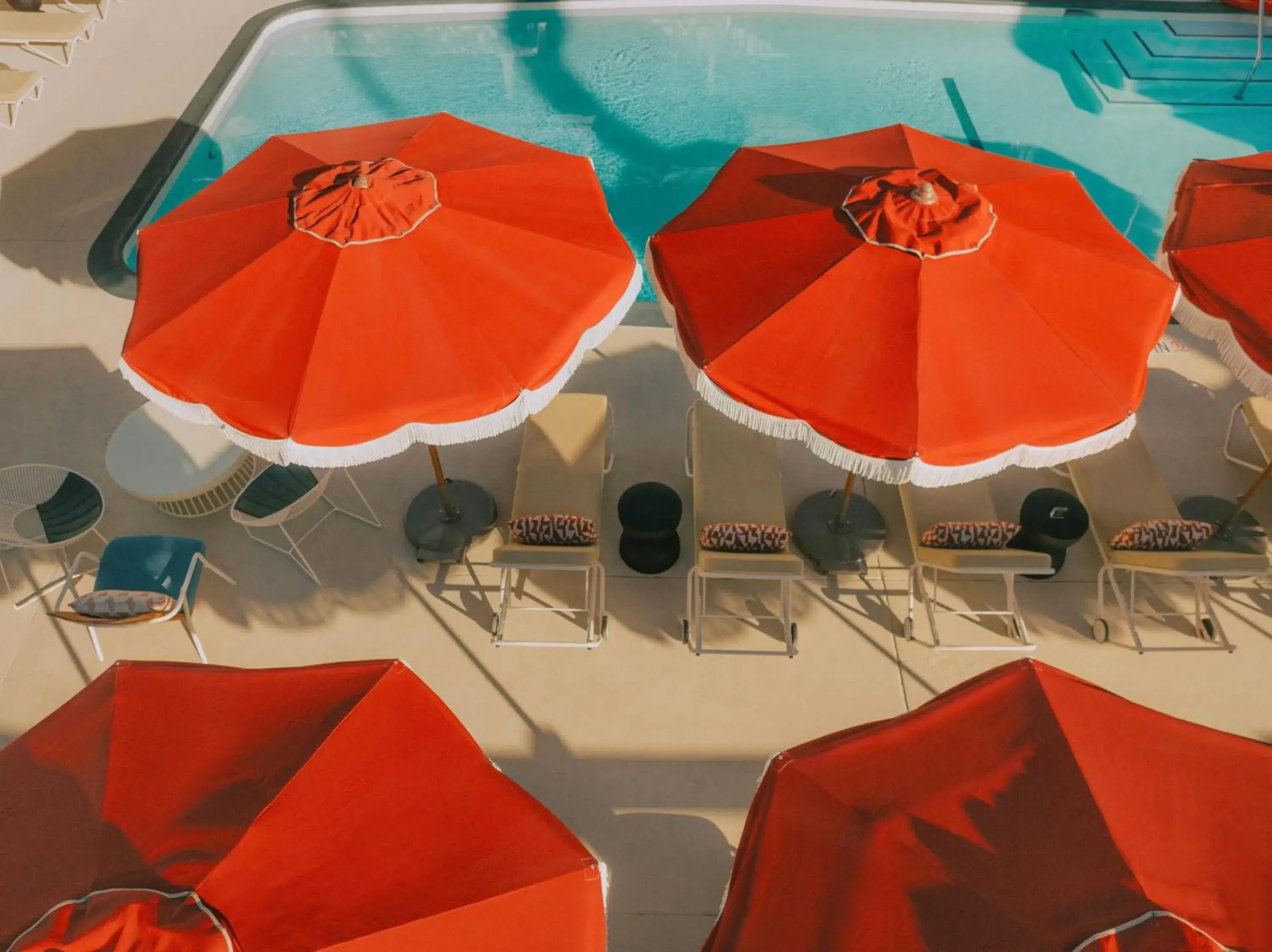 Swimming pool in Life House, Palm Springs Swimming pool in Life House, Palm Springs