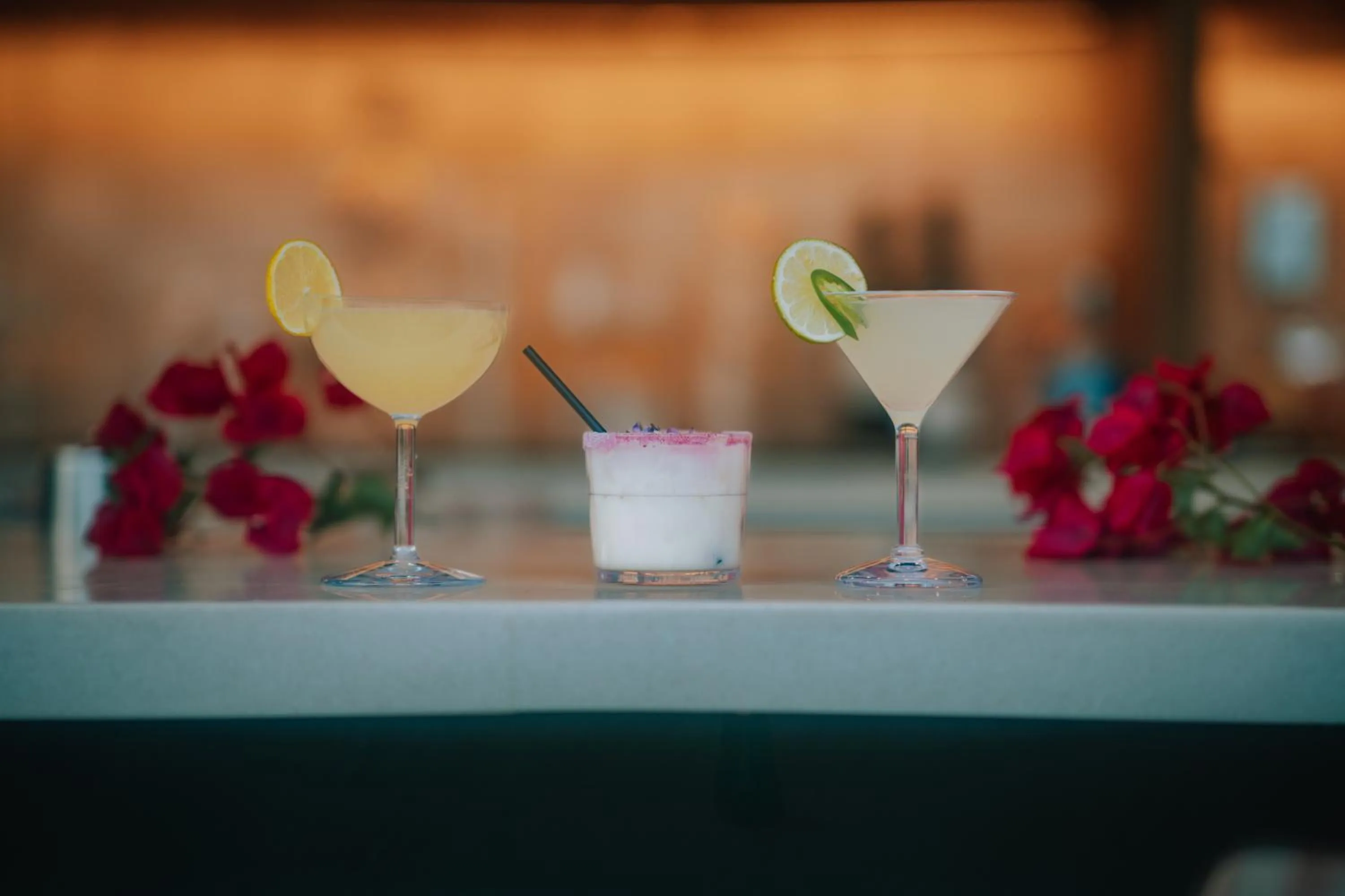 Drinks in Royal Sun Palm Springs