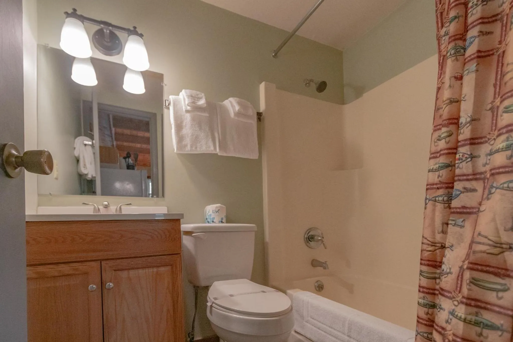 Toilet in Swiss Mountain Village