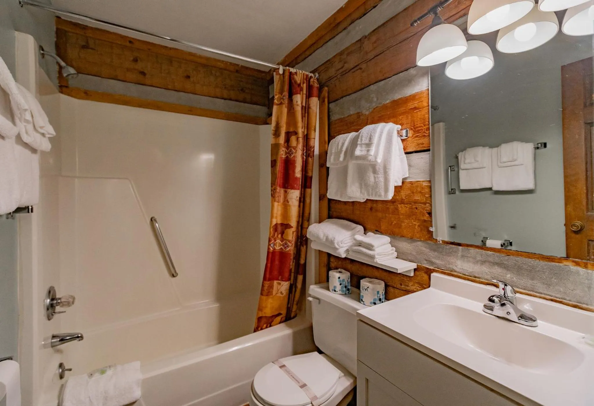 Toilet in Swiss Mountain Village