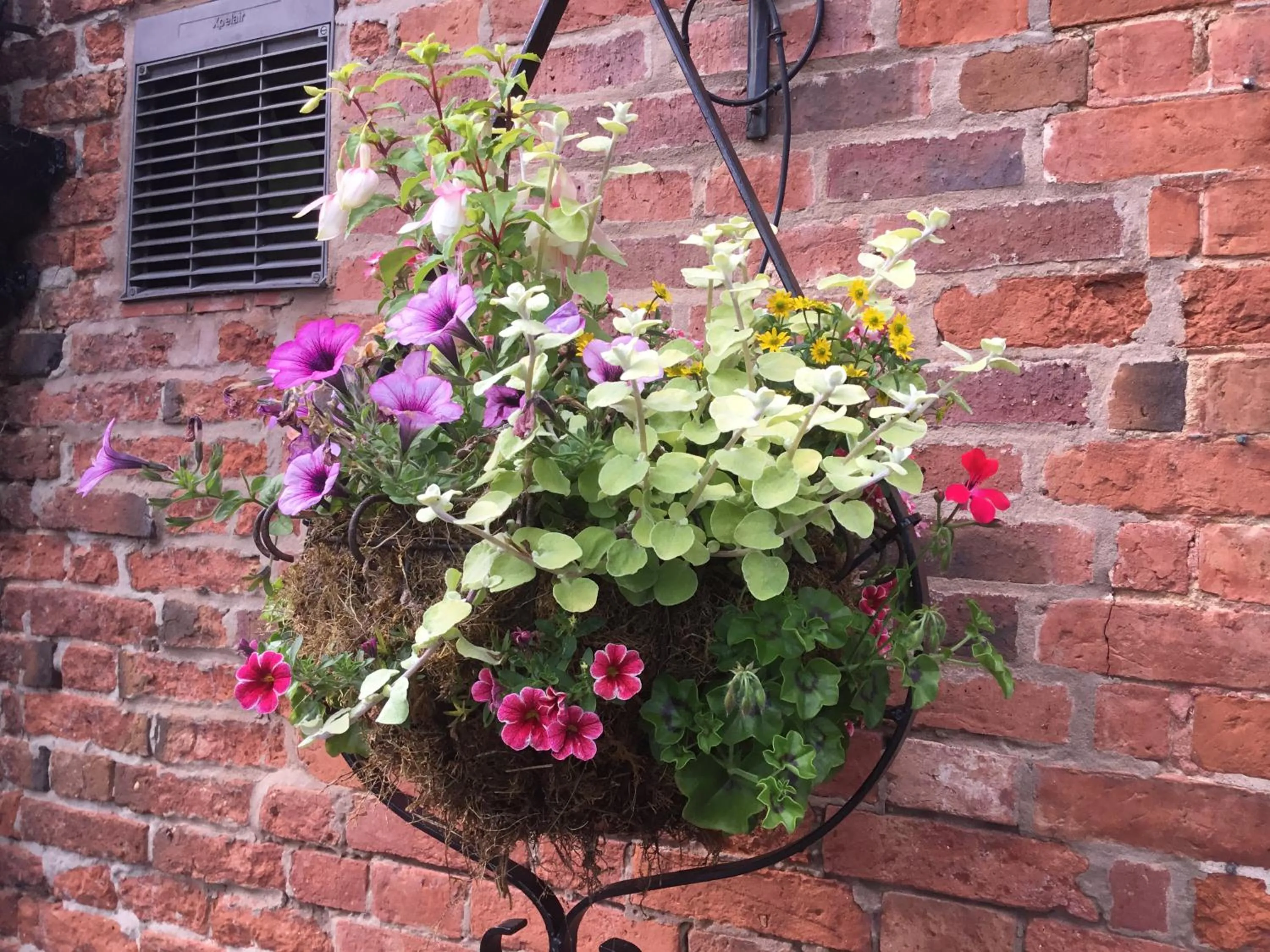 Garden in The Cheney Arms