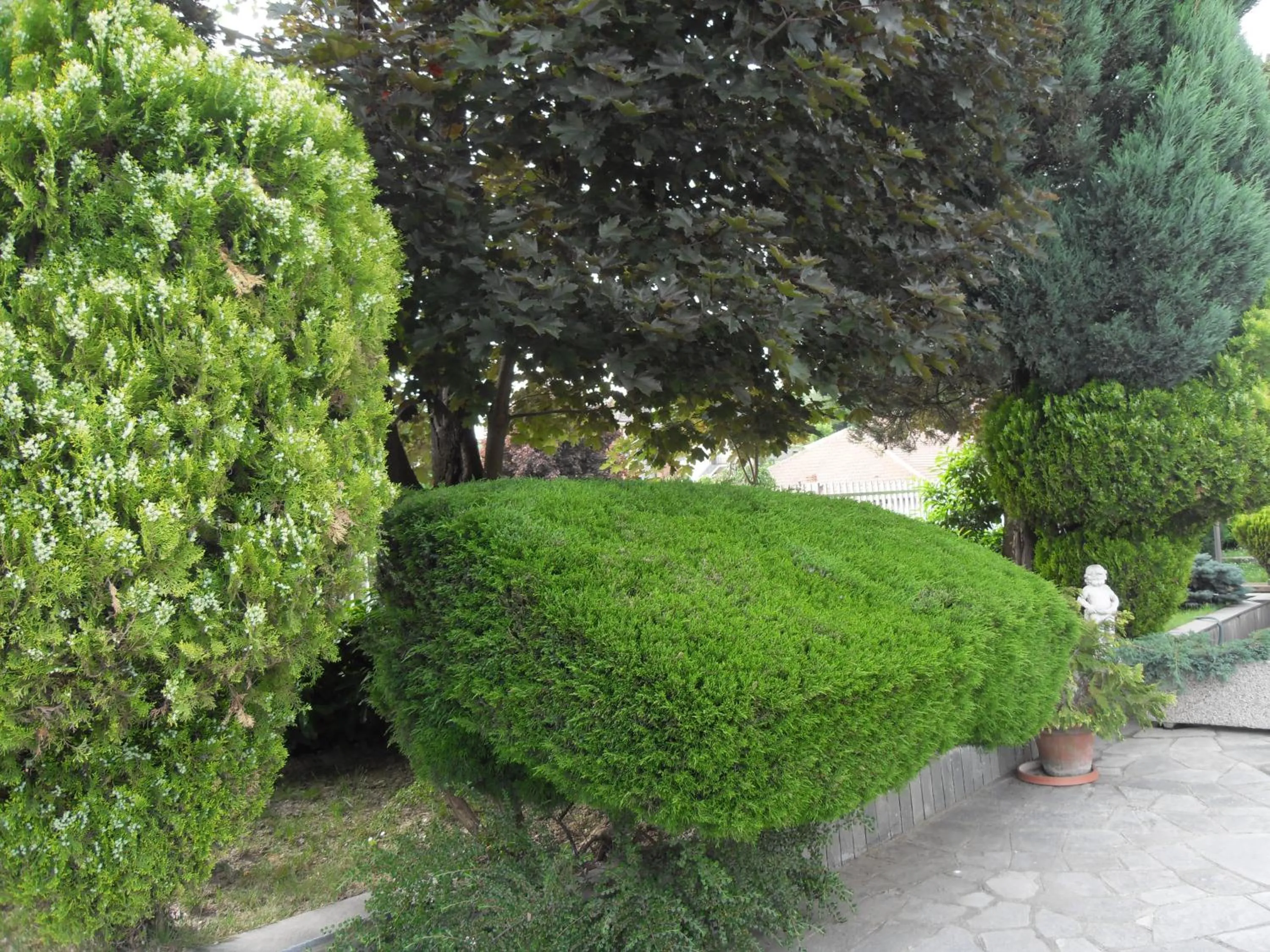 Garden in Da Betty