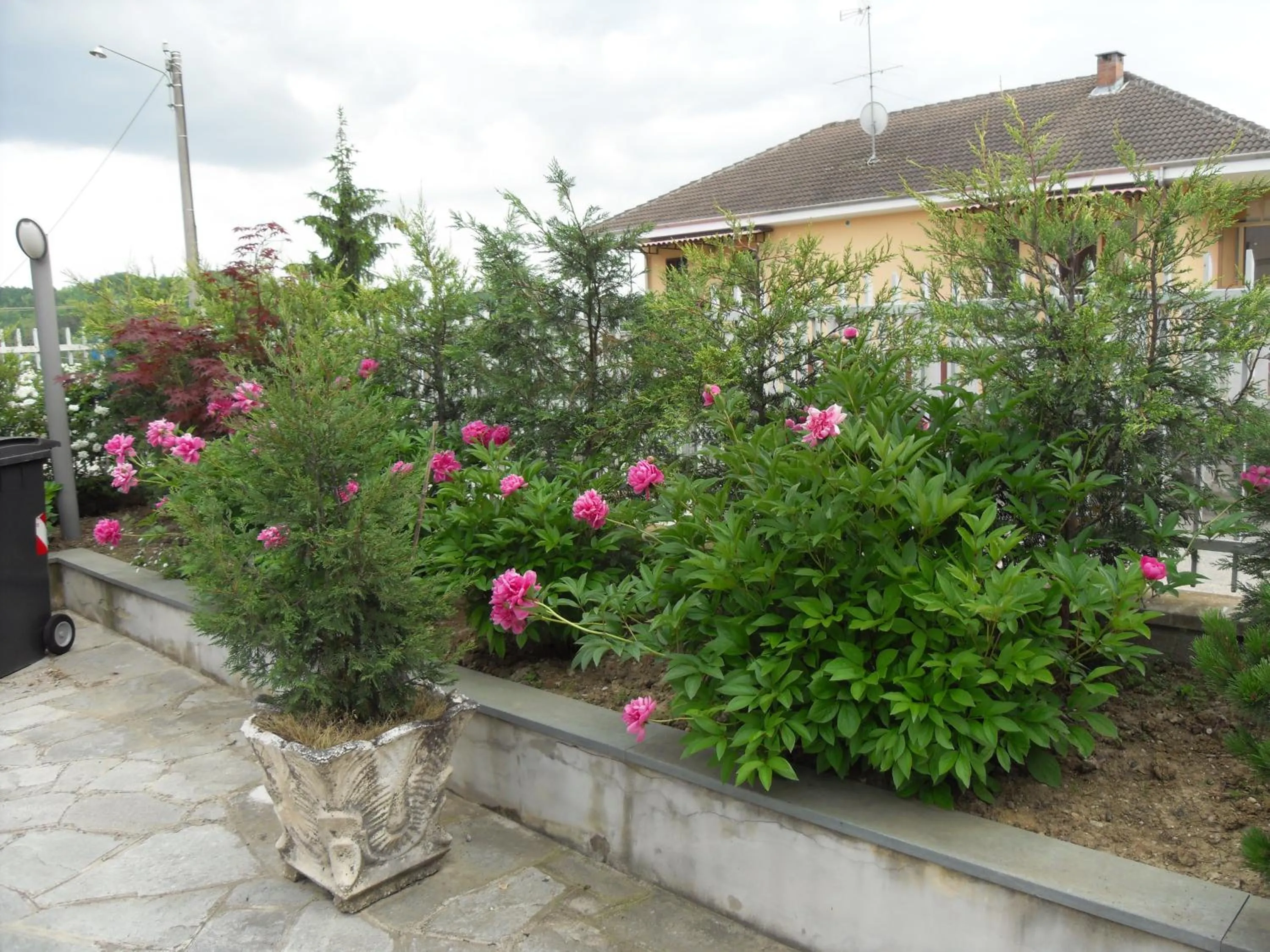 Garden in Da Betty
