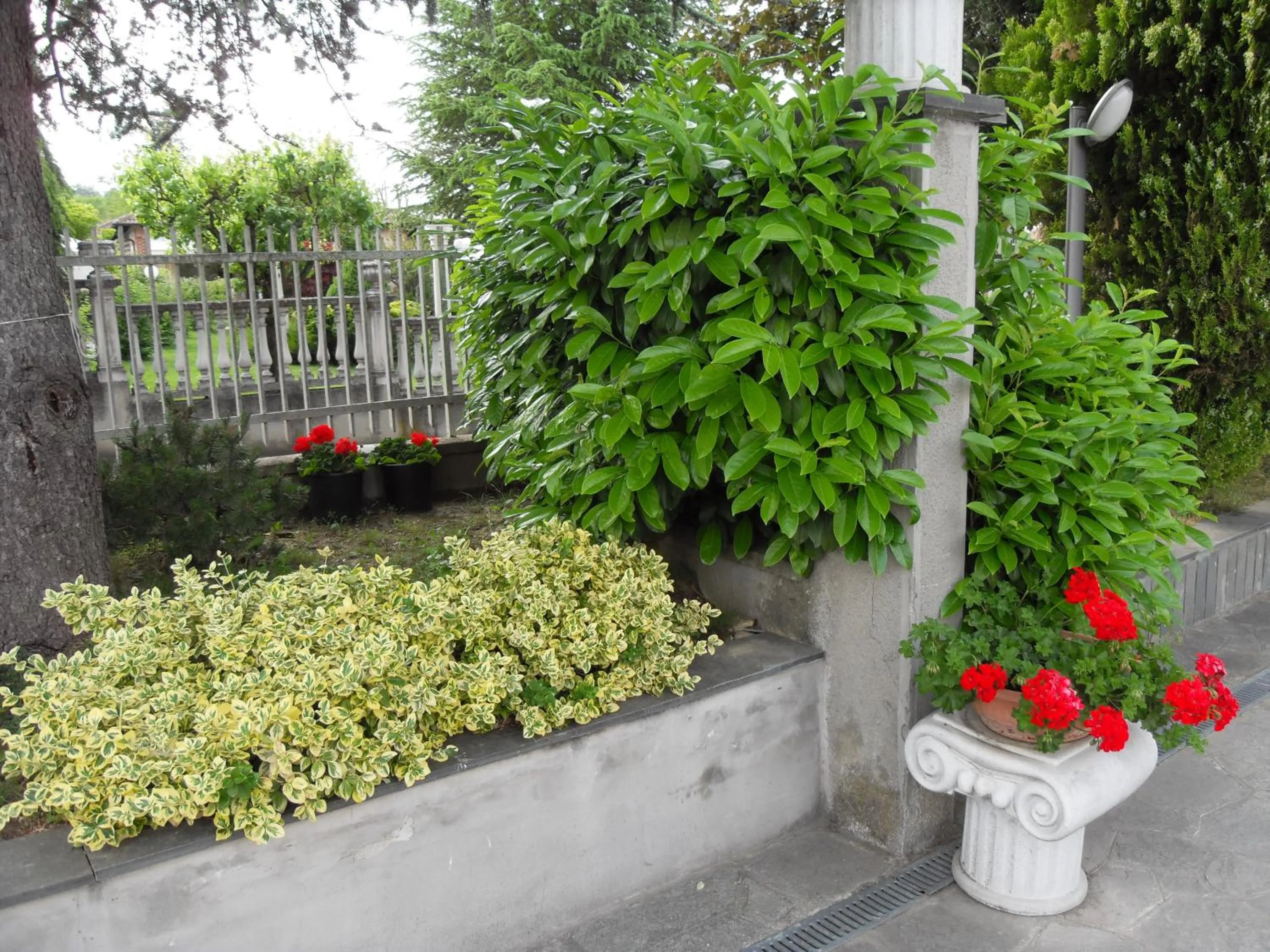Garden in Da Betty