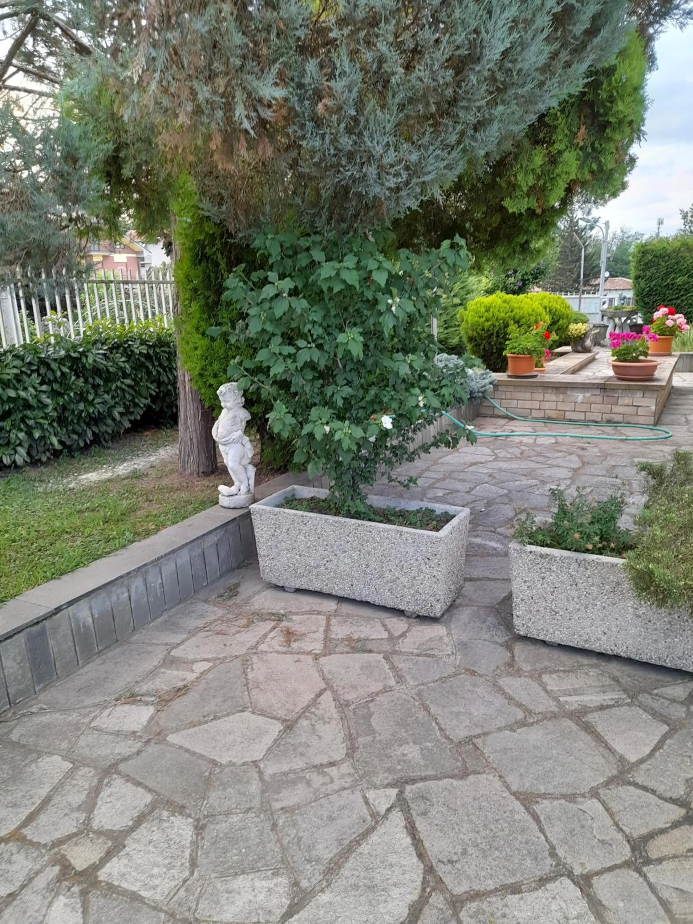 Garden in Da Betty
