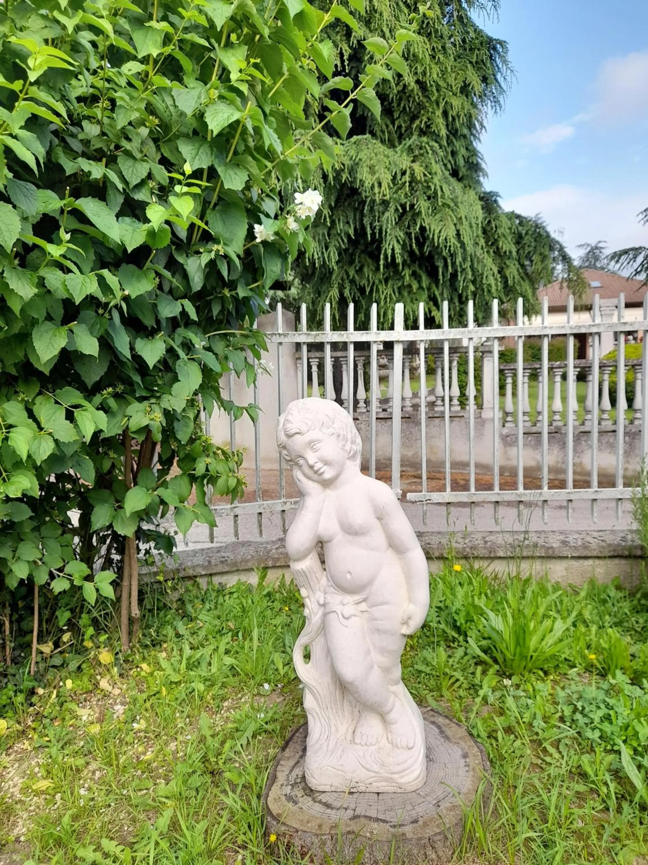 Garden in Da Betty