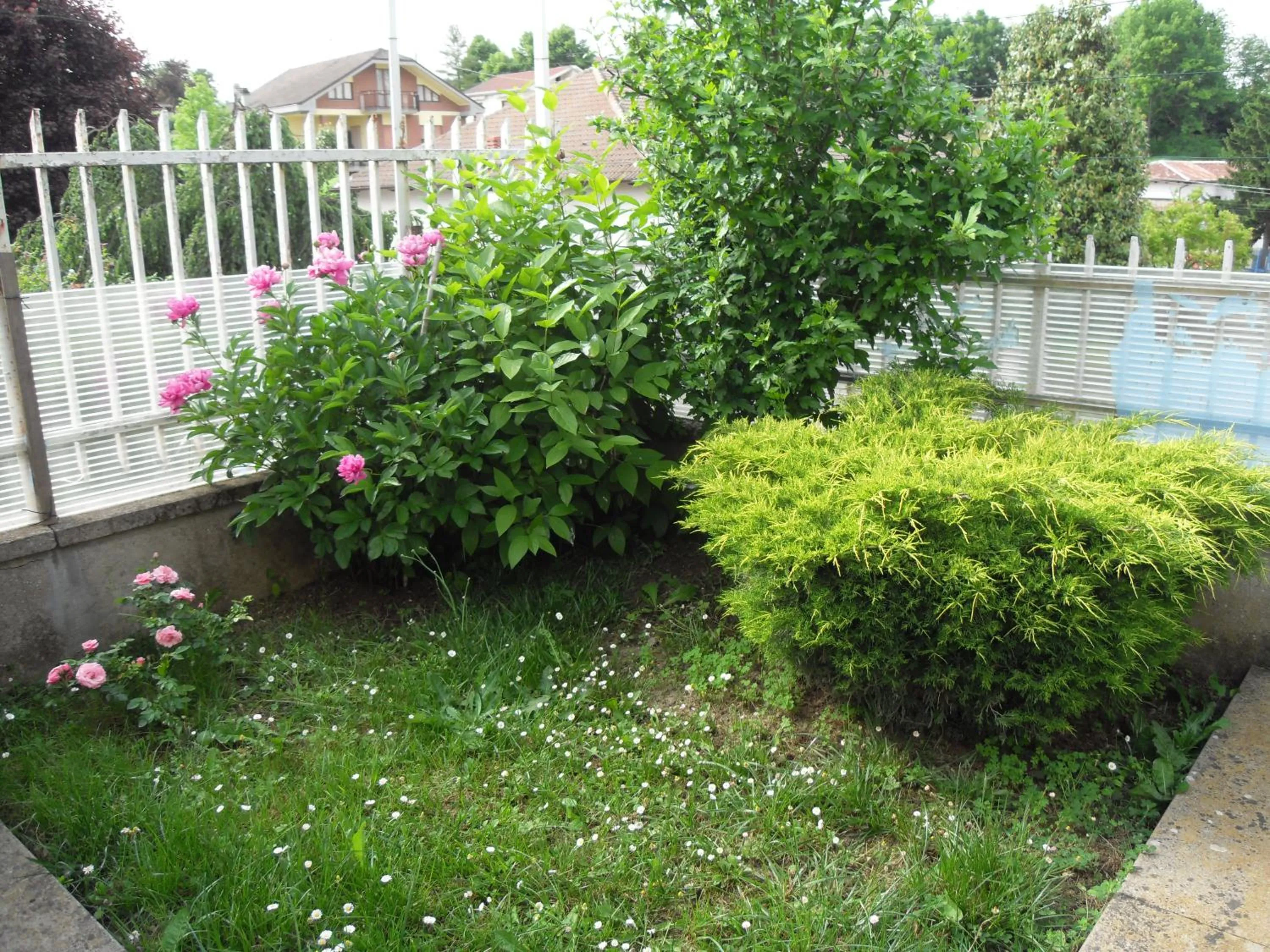 Garden in Da Betty