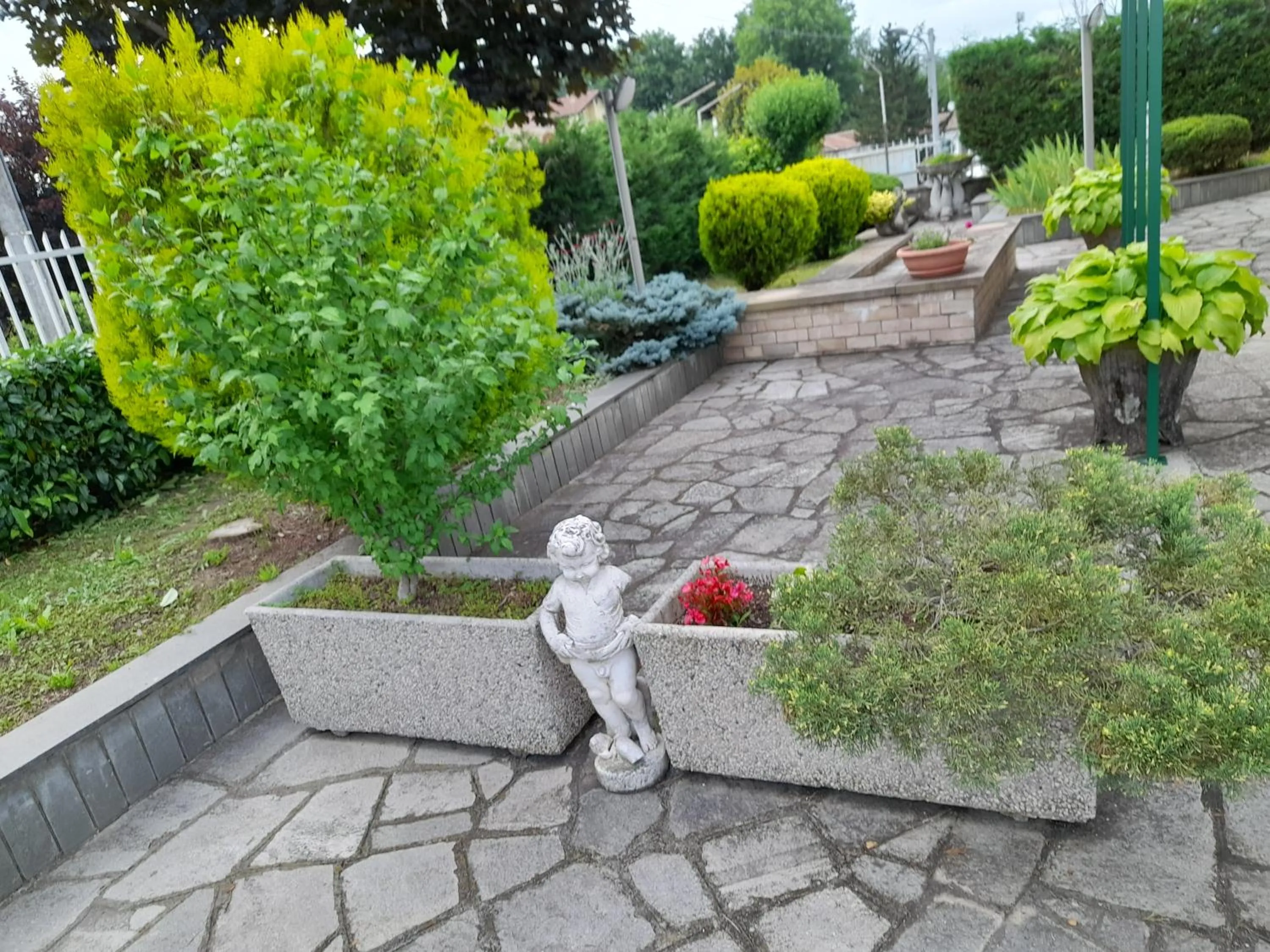 Garden in Da Betty