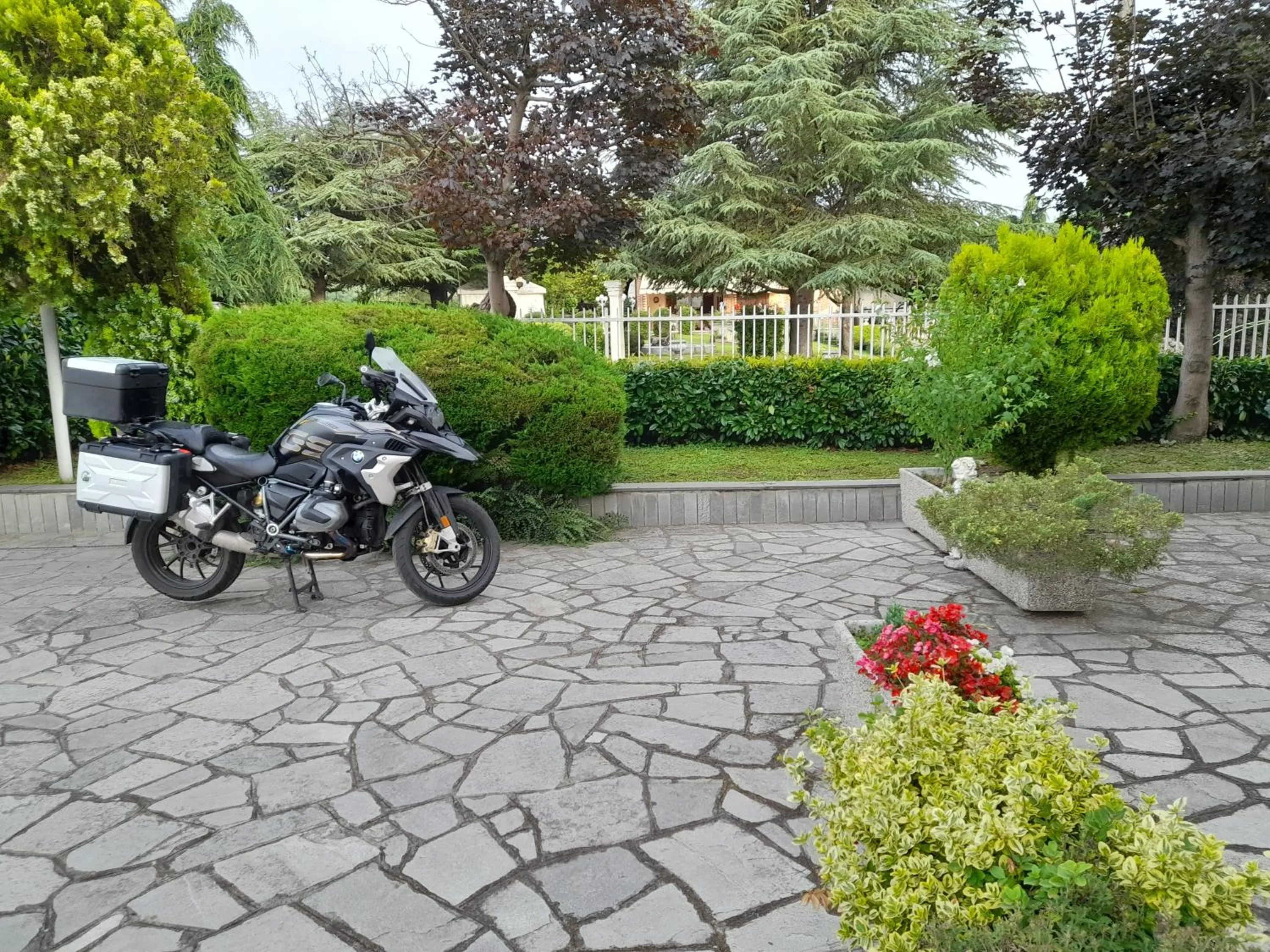 Spring in Da Betty