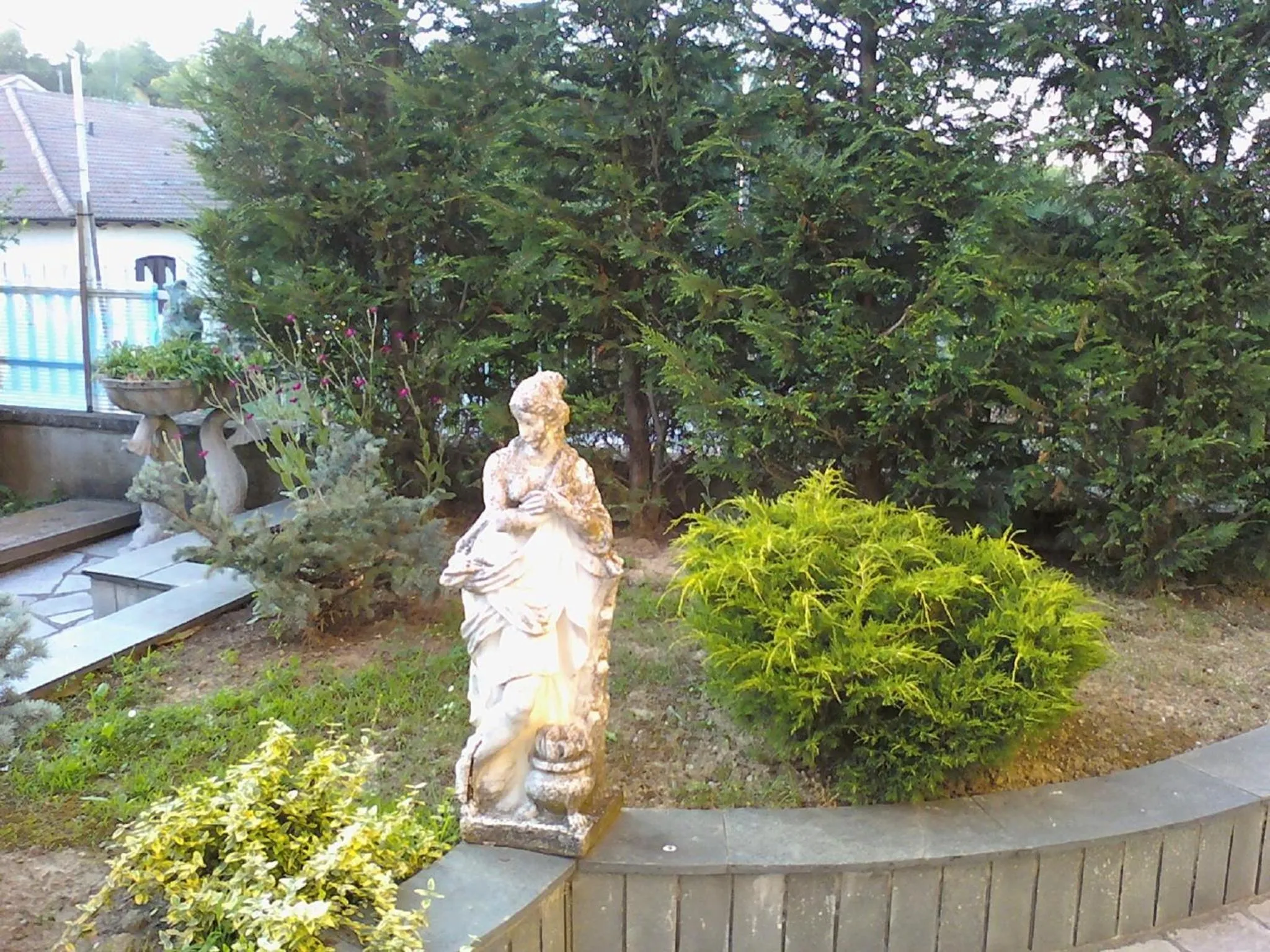 Garden in Da Betty