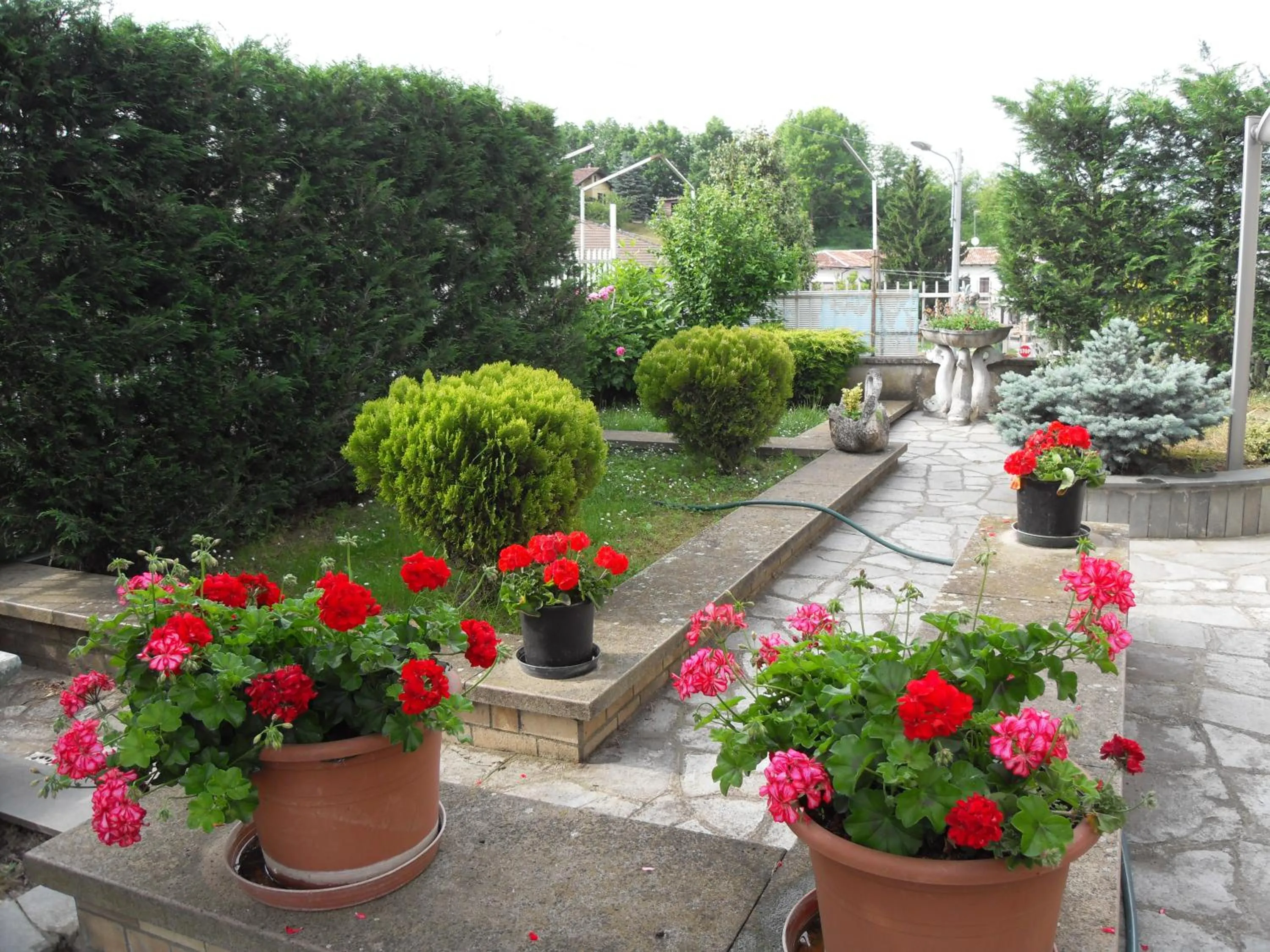 Garden in Da Betty